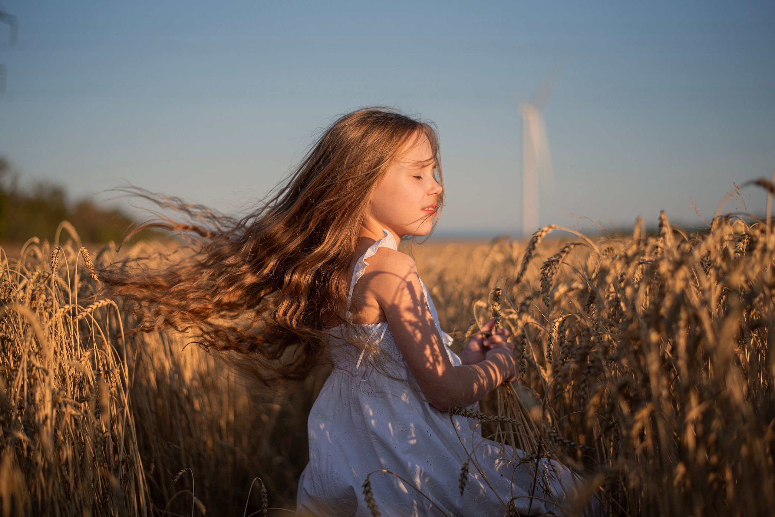 Пшеница. Главная