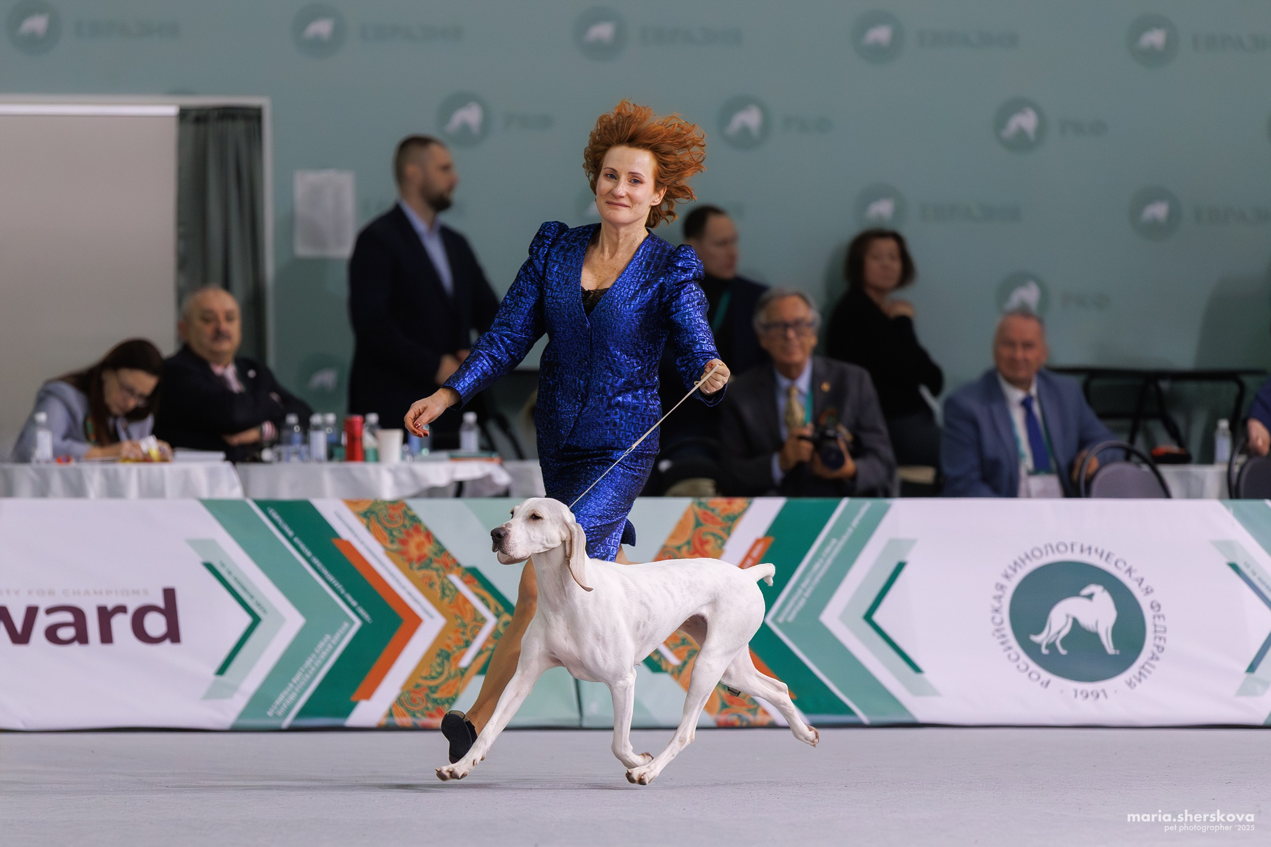 Выставки. Фотограф-анималист в Калуге Мария Шерскова