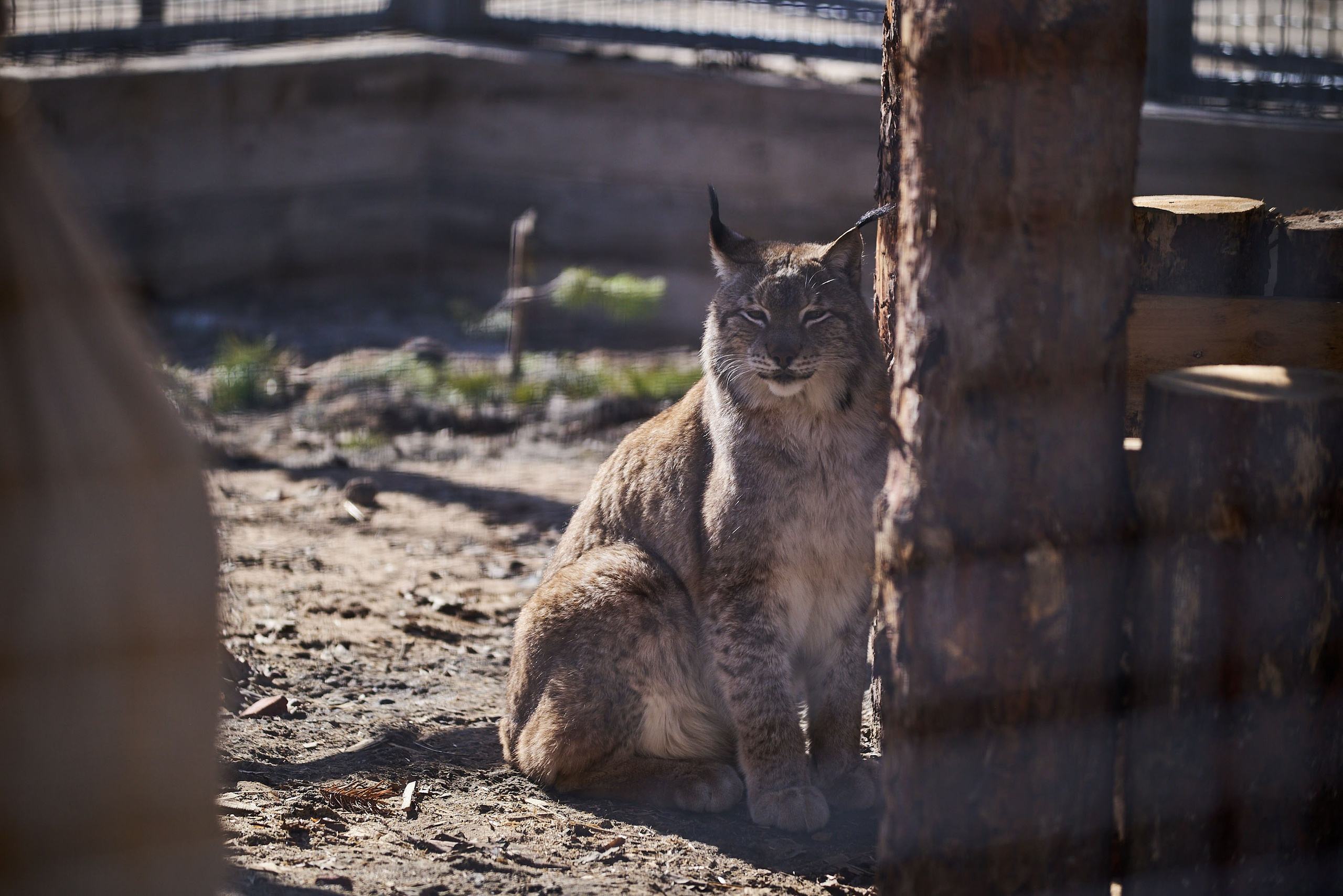 Зоопарк Иваново. Фотограф в Иваново: Каталожная съемка одежды и постельного белья, Wildberries