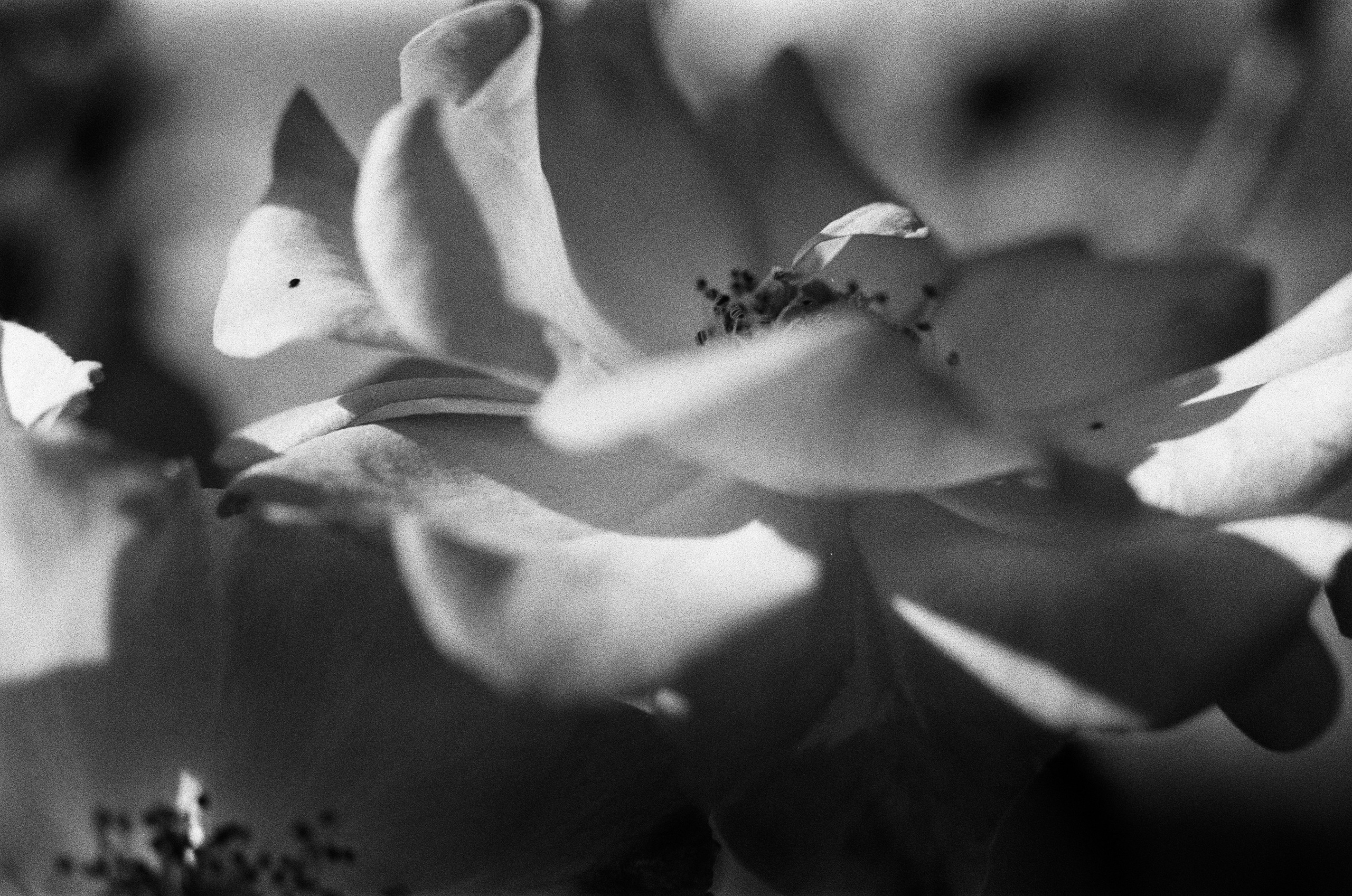 Oblomki chuvstv // ukraine, crimea VII. EVER EXPOSED