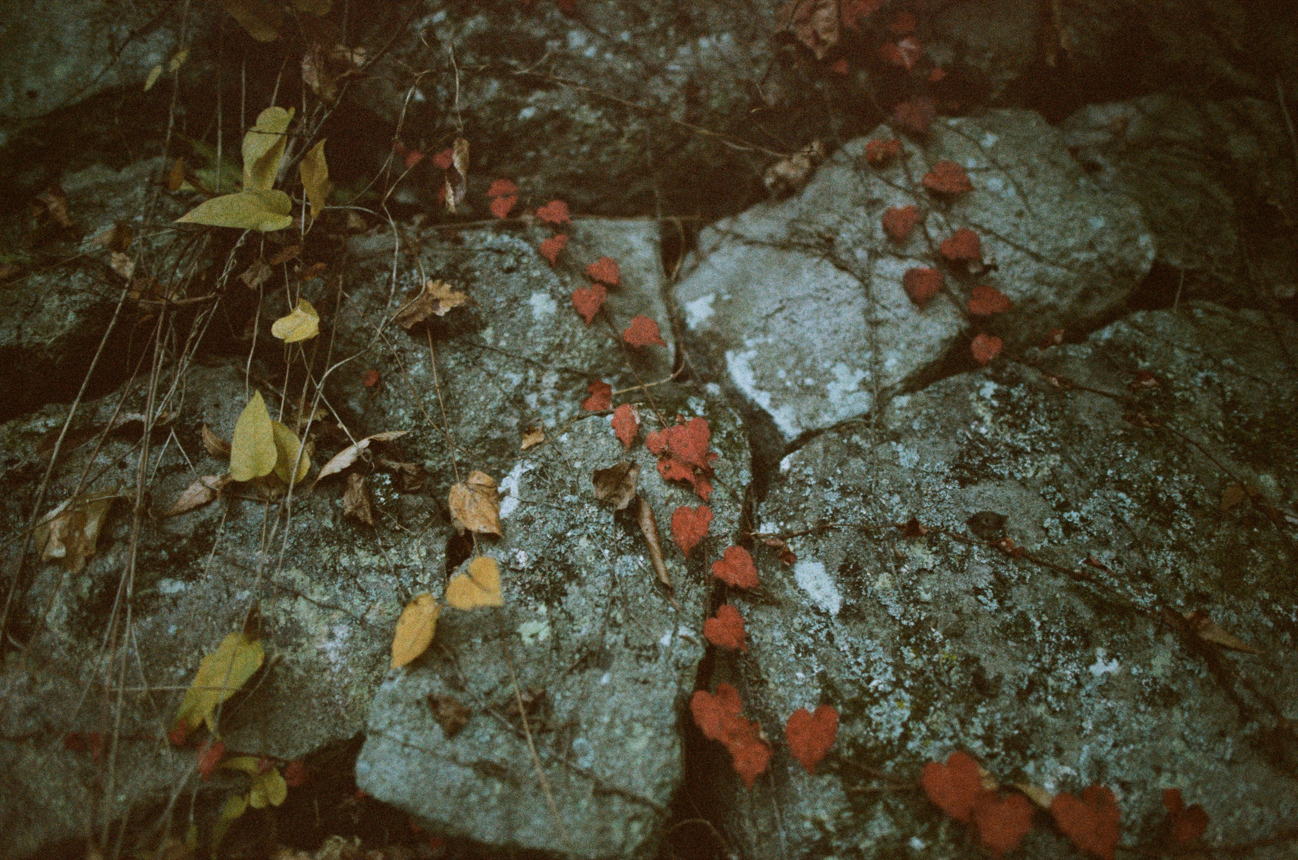 Out of noise // japan, takayama II. EVER EXPOSED