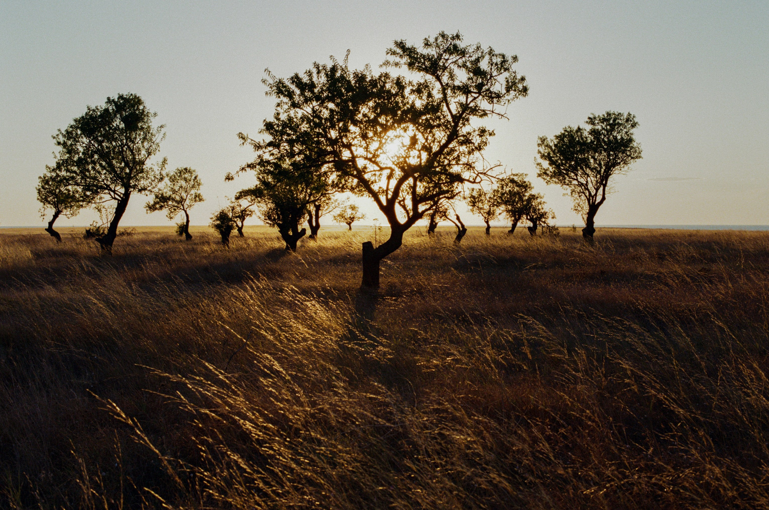 Your guardian angel // ukraine, crimea. EVER EXPOSED