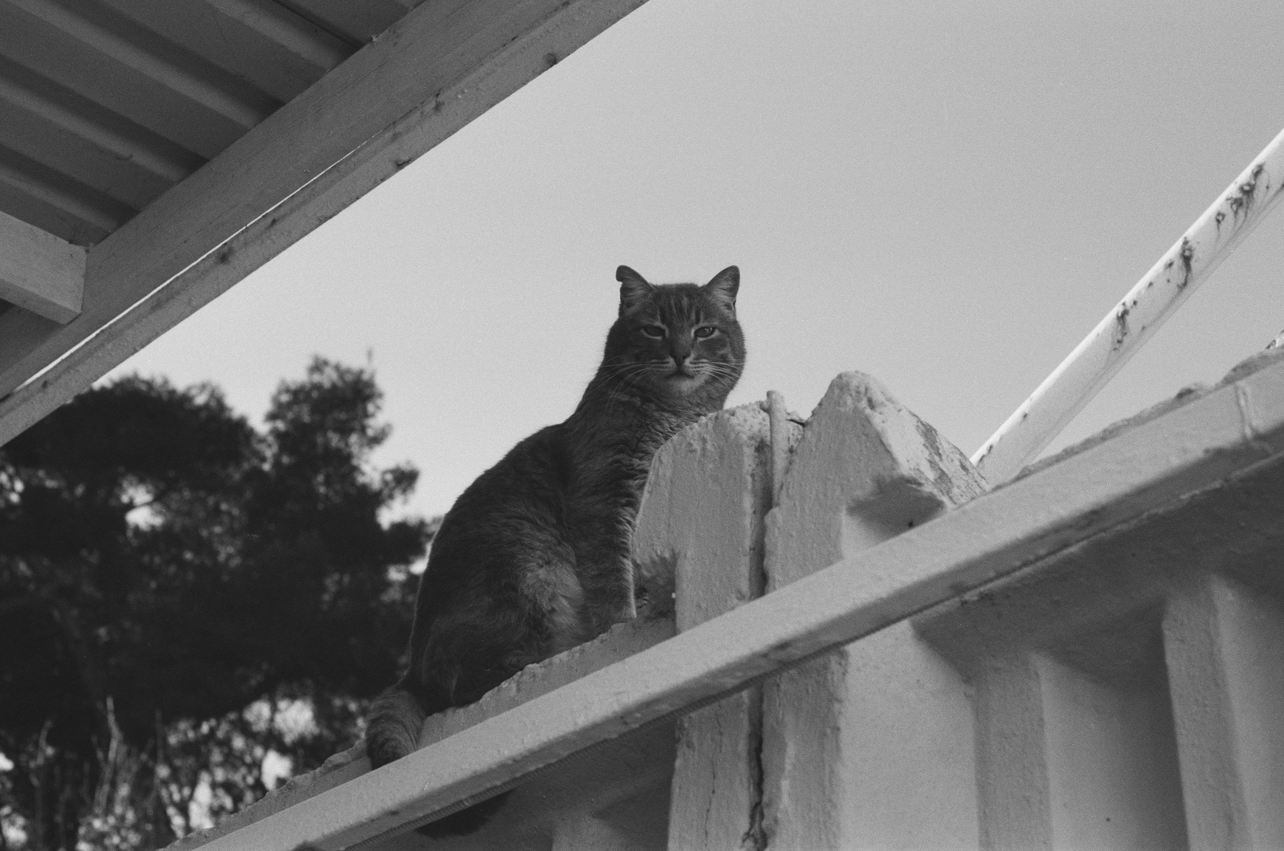 Plastinki // ukraine, crimea II. EVER EXPOSED