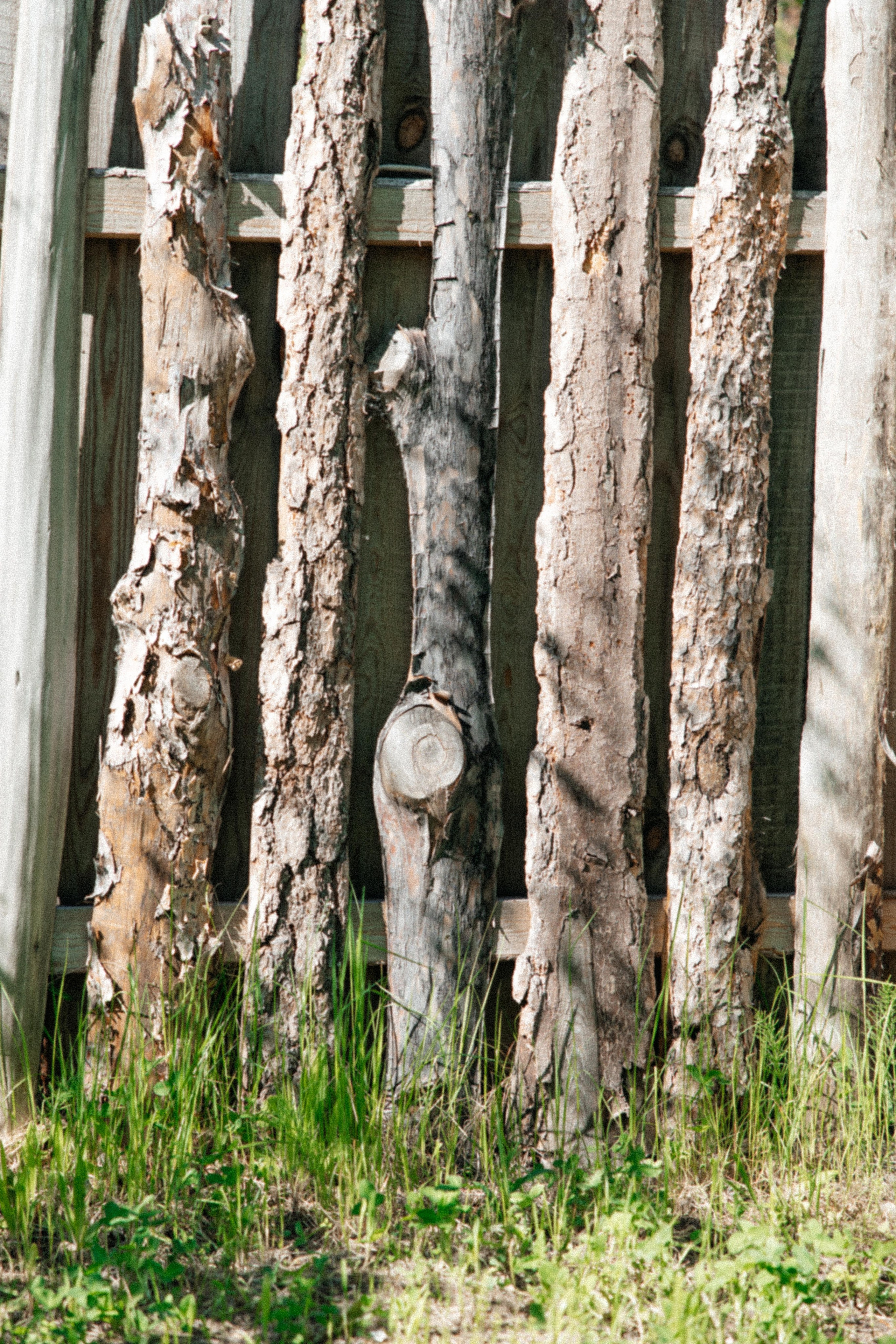 Эмиль и Ярослава. Свадебный фотограф Ирнис Дильмухаметов