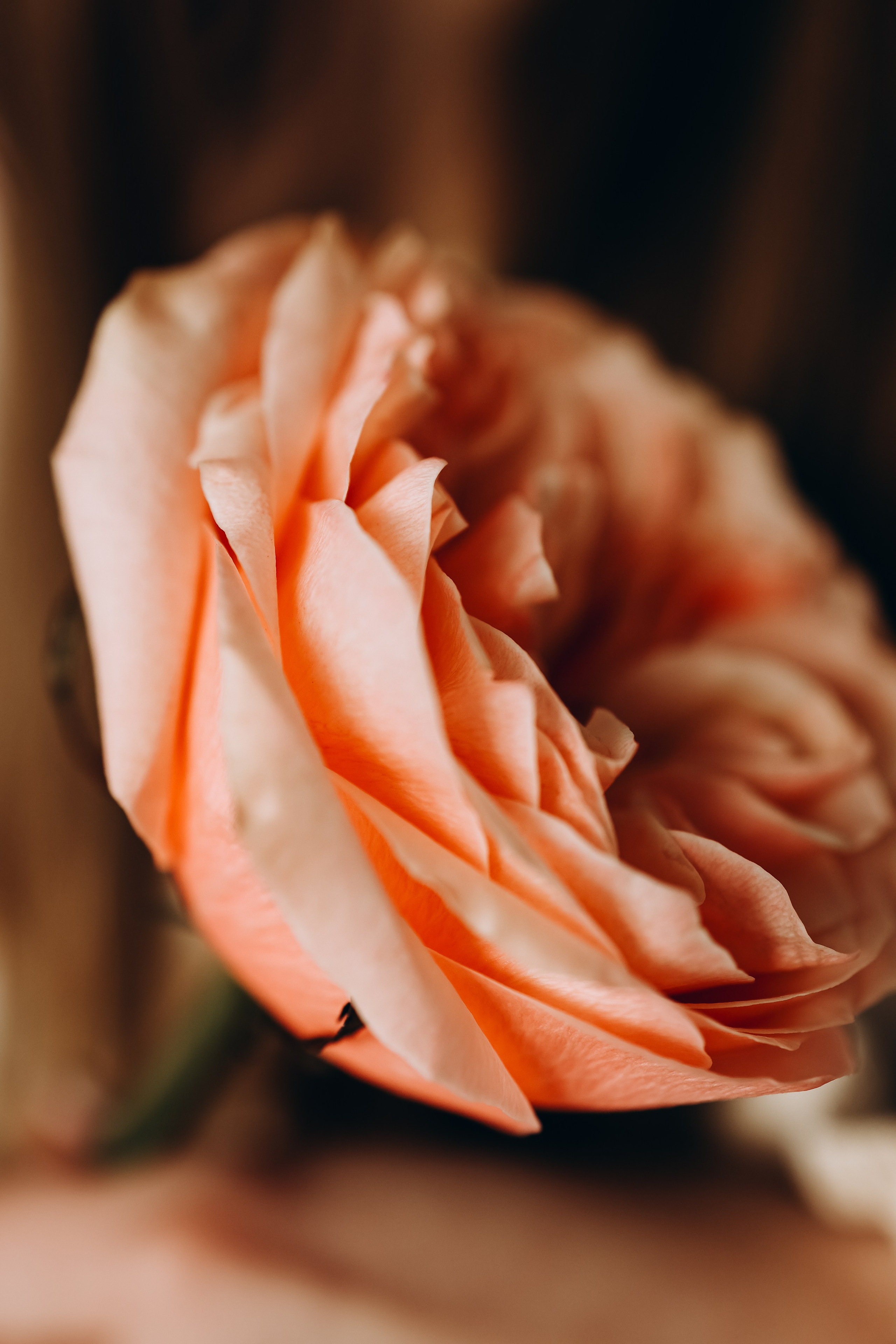 Алина. Свадебный и семейный фотограф в Воронеже Ксения Воротникова