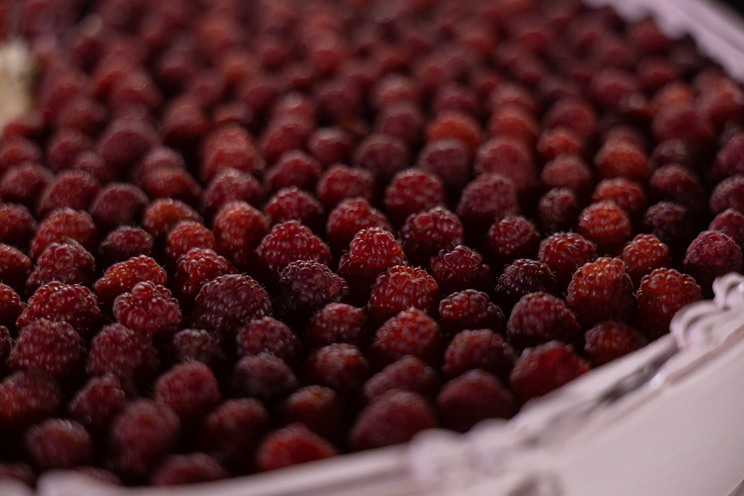 Г/М. Вебер Юлия фотограф Ростов-на-Дону