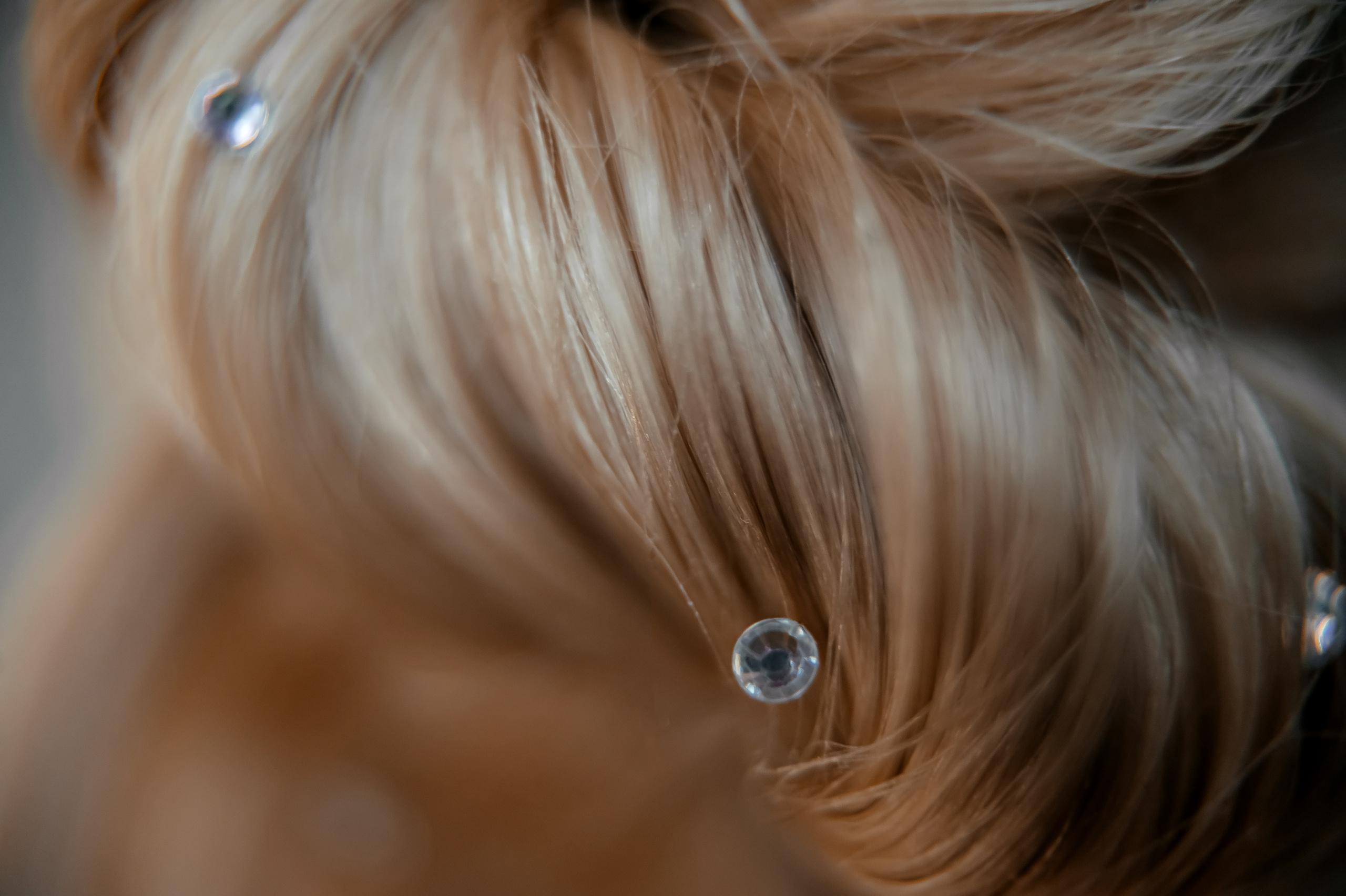 Виолетта, Щёлково. Свадебный и семейный фотограф Виктория Носачёва. Щелково, Москва и МО