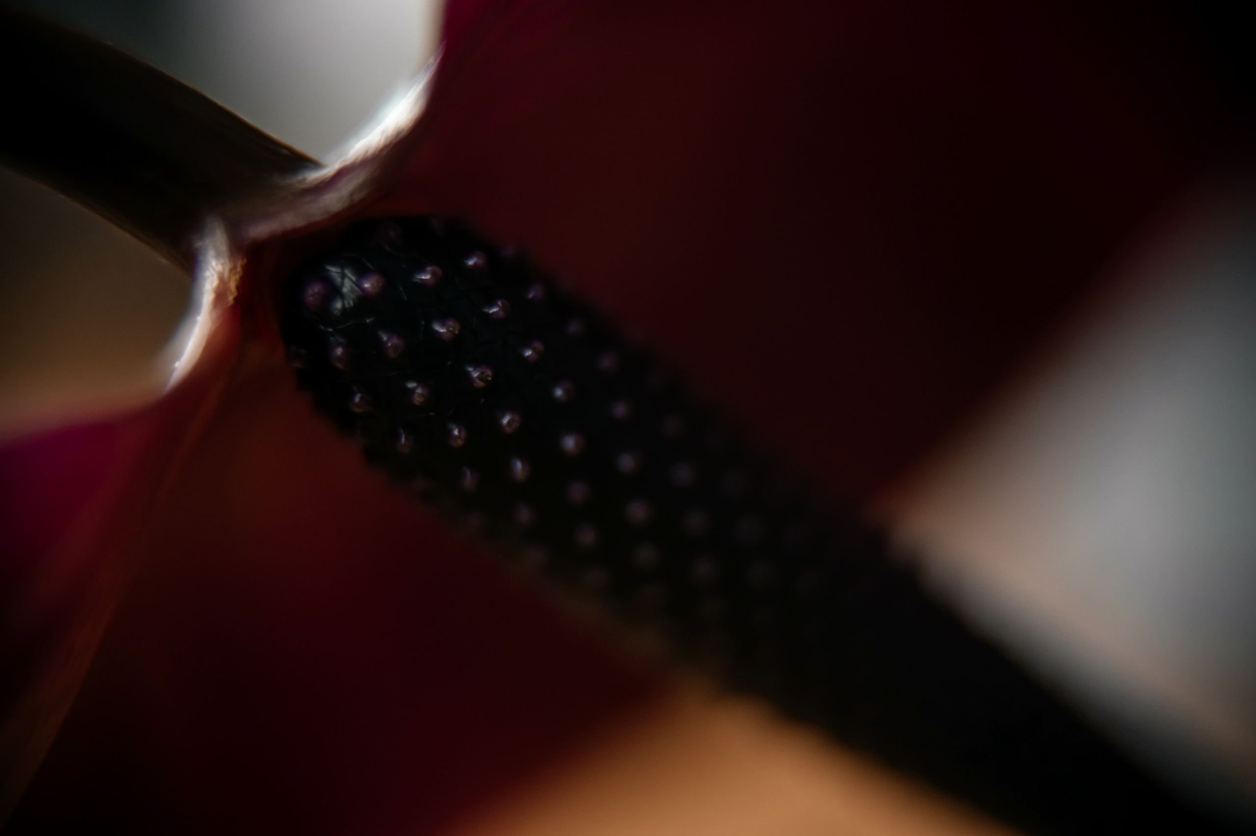 Виолетта, Щёлково. Свадебный и семейный фотограф Виктория Носачёва. Щелково, Москва и МО