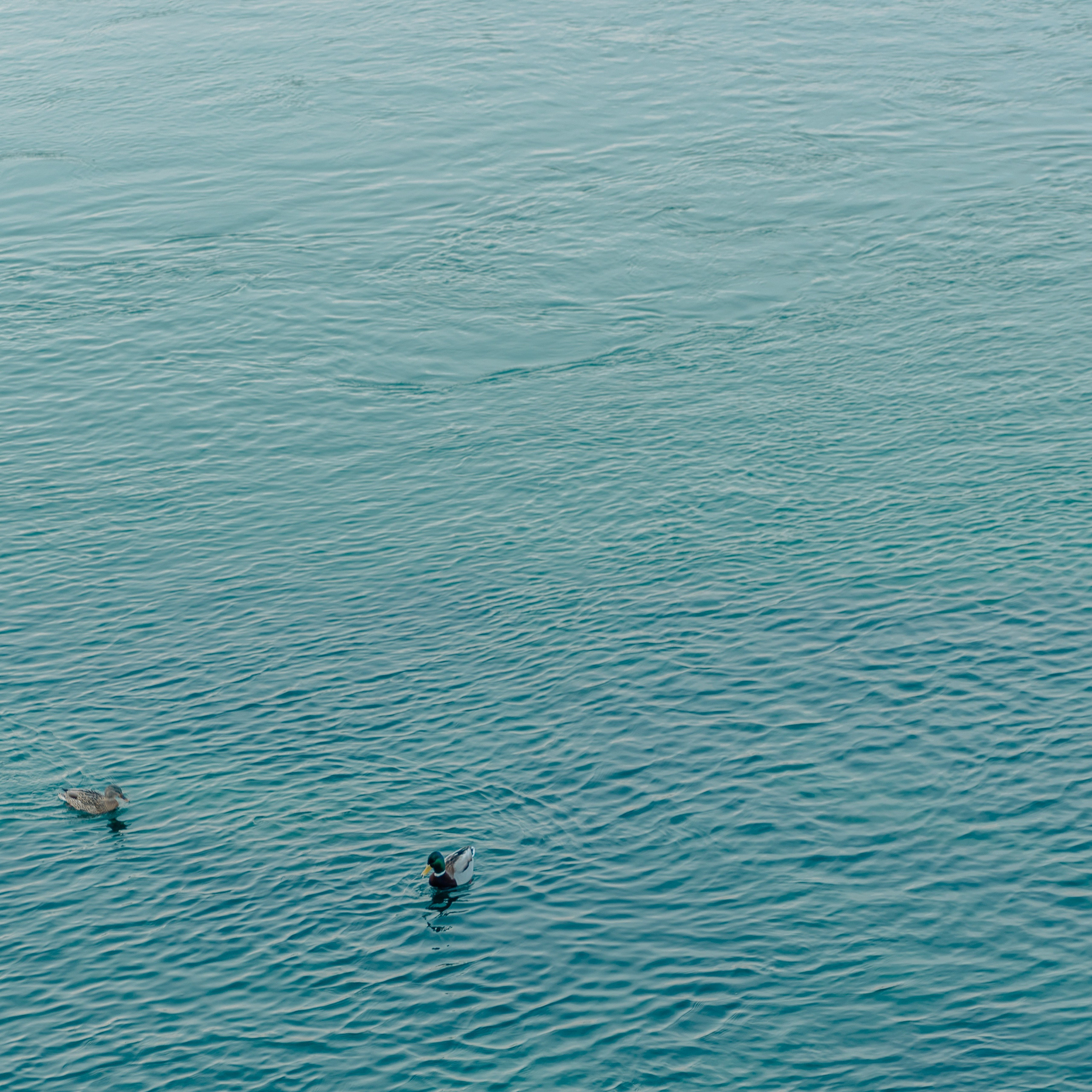 Иркутск и Байкал, Март 2024