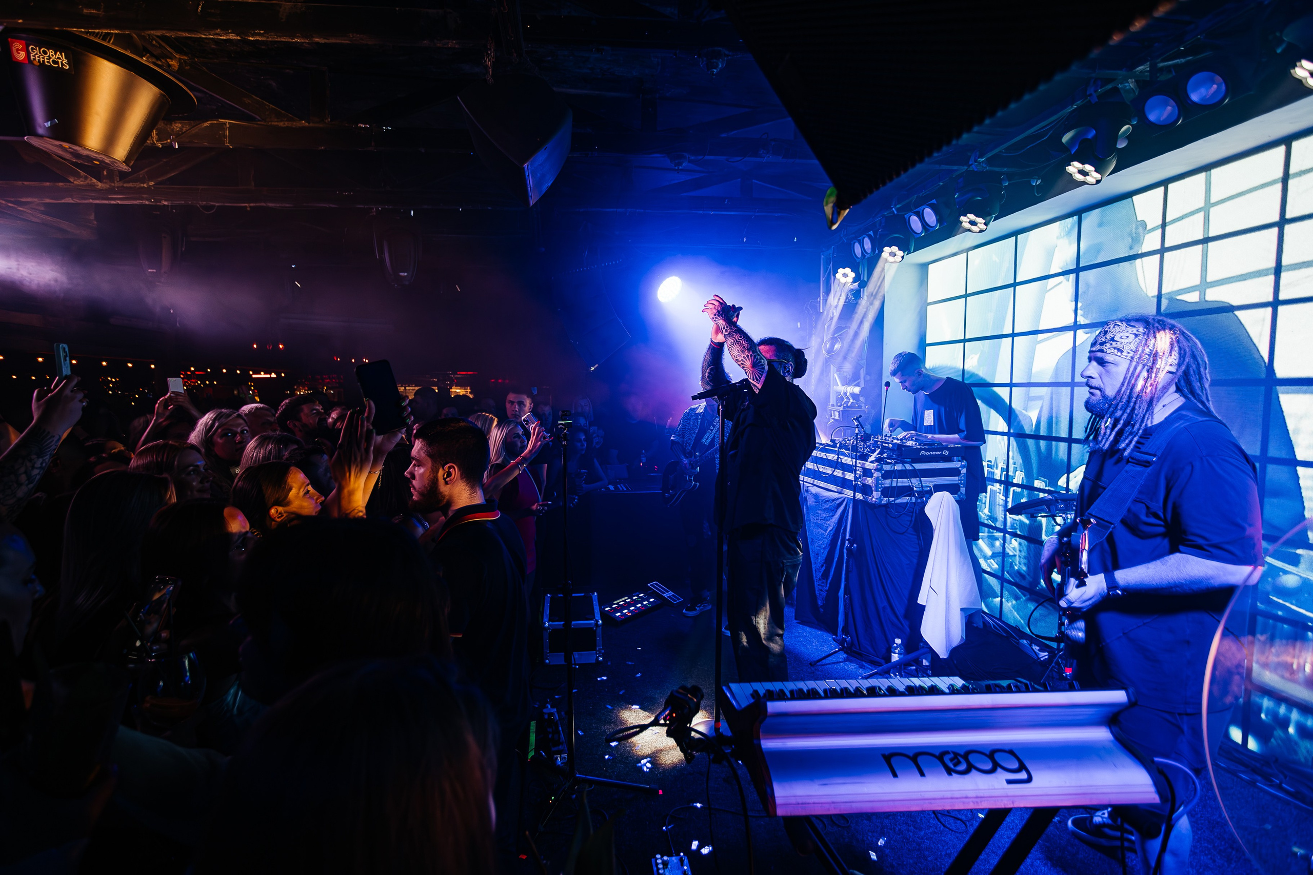 Бурито_Чайка_на_пляже_Ялта 23.08.2024. Аминов Руслан | Фотограф