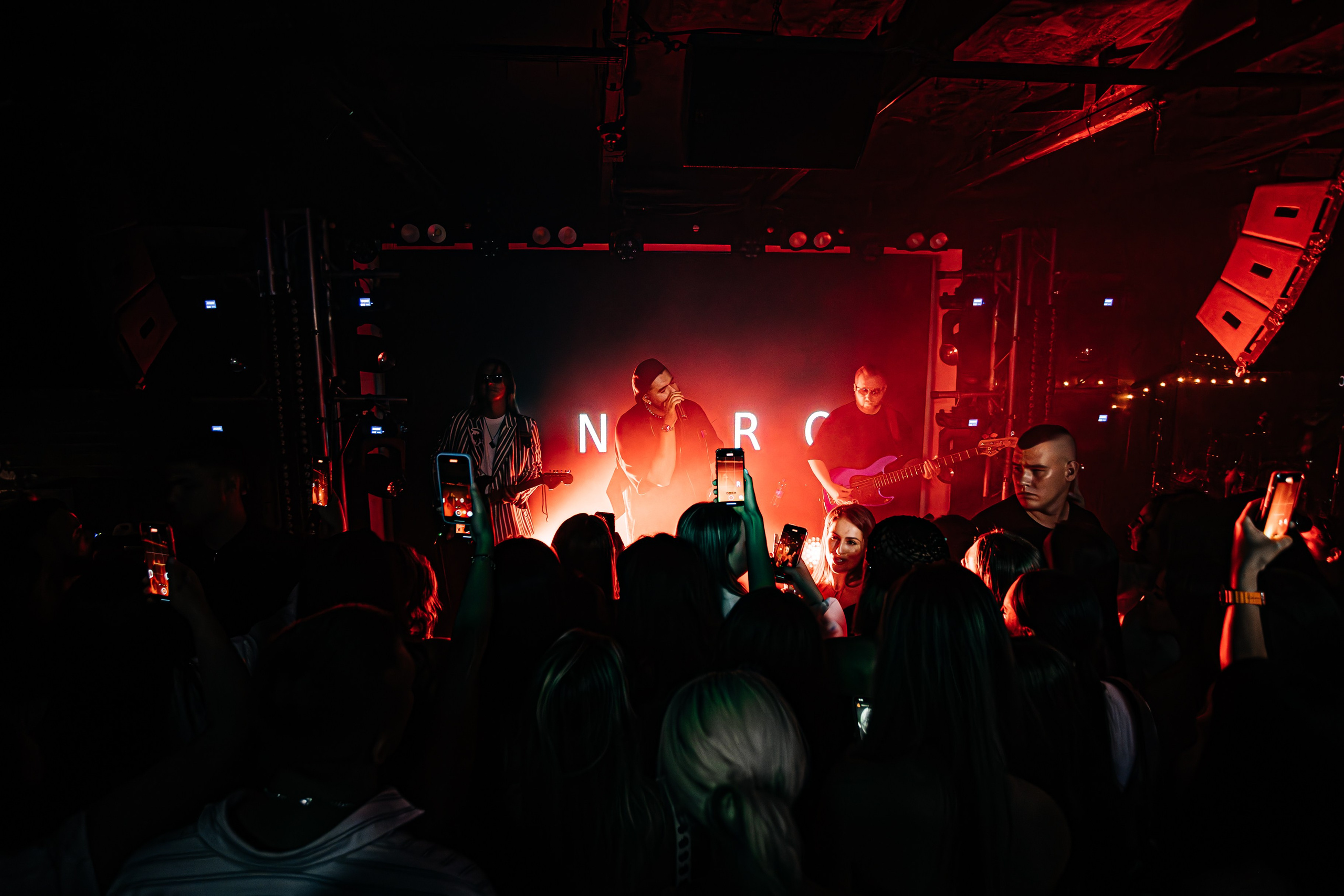 Чайка_на_пляже_Андро_Ялта_24.08.2024. Аминов Руслан | Фотограф