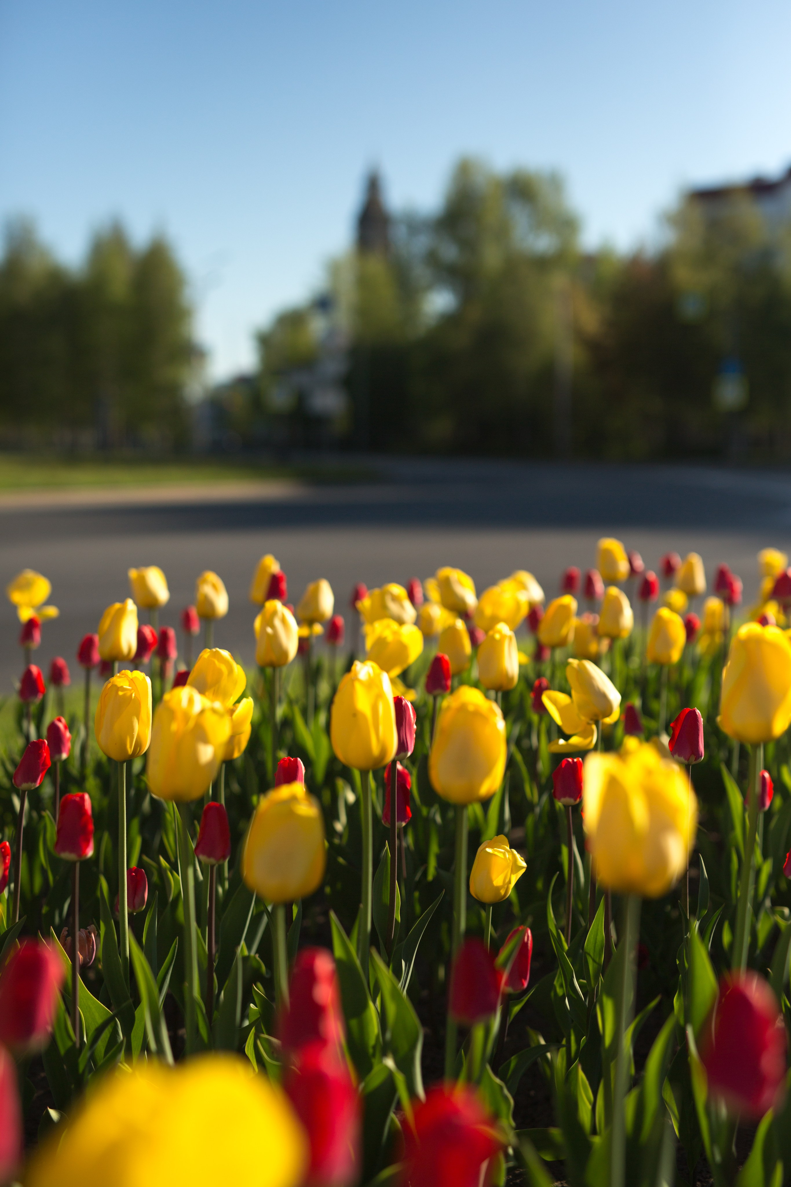 Сургут. Фотограф в г. Сургуте Марина Киприна