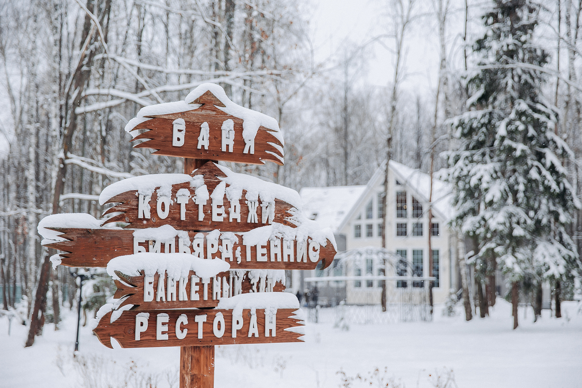 Вика и Рома. Фотограф Женя Соловец (Женя Мёд)