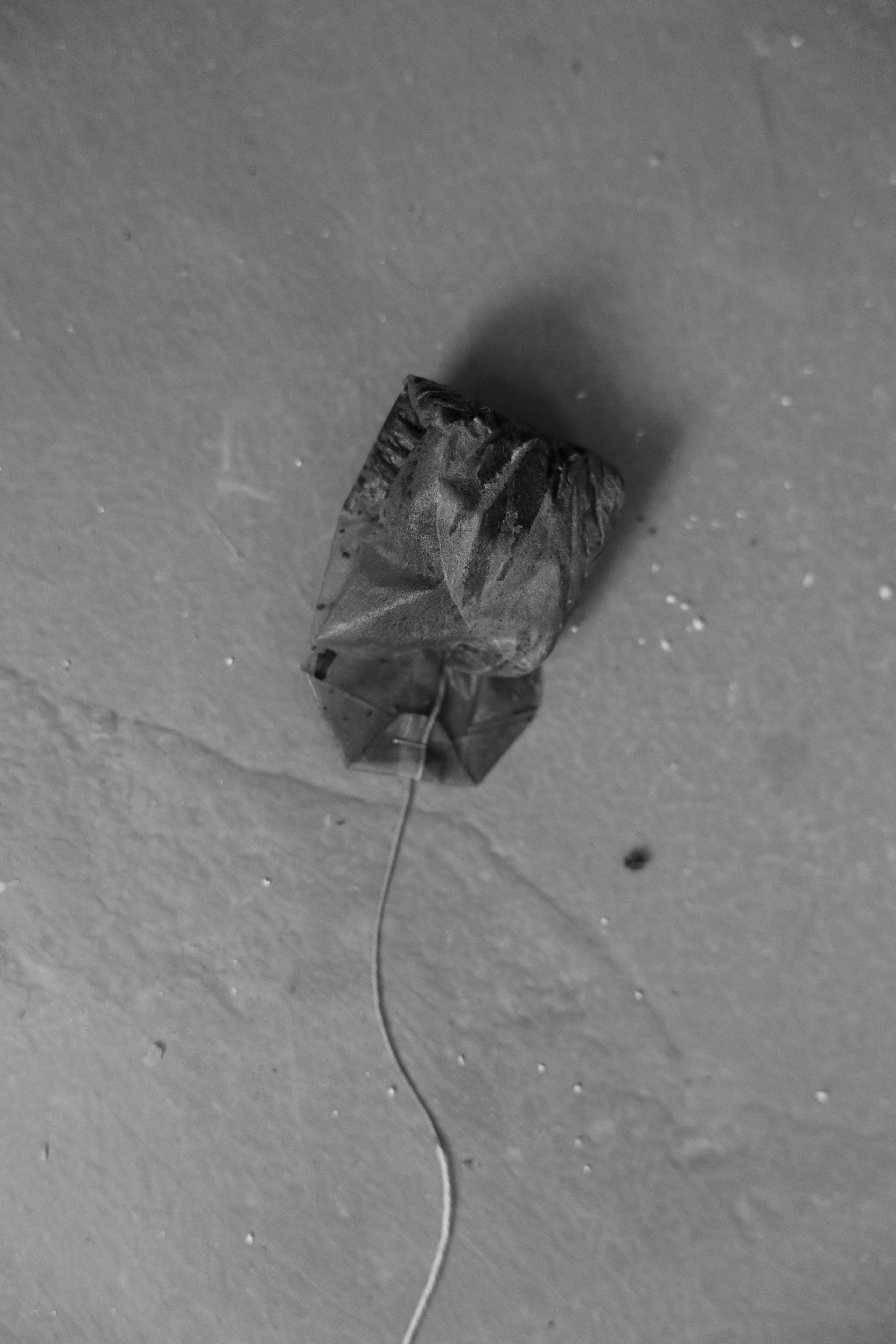 Art prints. Фотограф алина стерхова, алина стерхова фотограф, фотограф москва