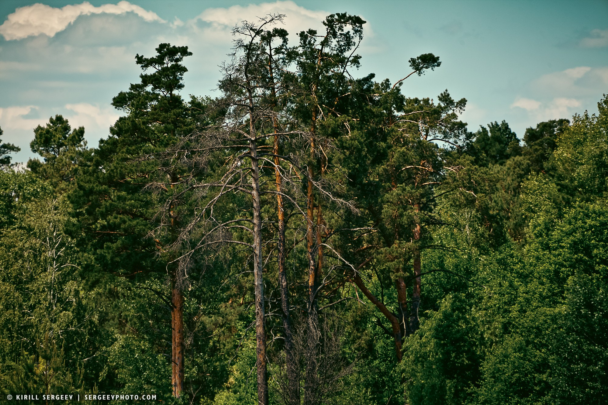 40 лет аварии на ЧАЭС. Поездка в зону отчуждения. 攝影師 基里爾·謝爾蓋耶夫 |莫斯科