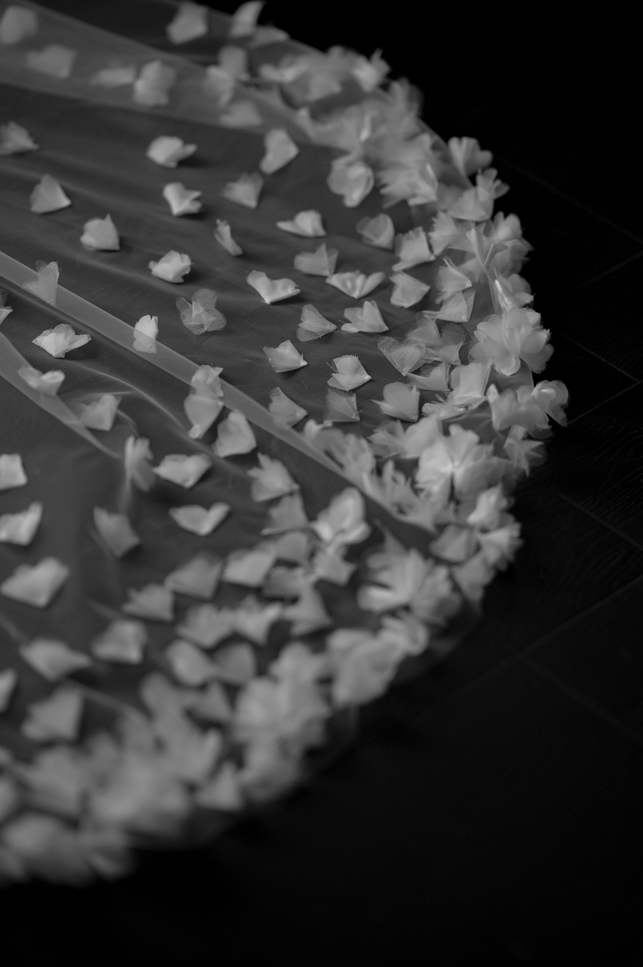 «Amore» Алина и Виталий. Свадебный фотограф и видеограф