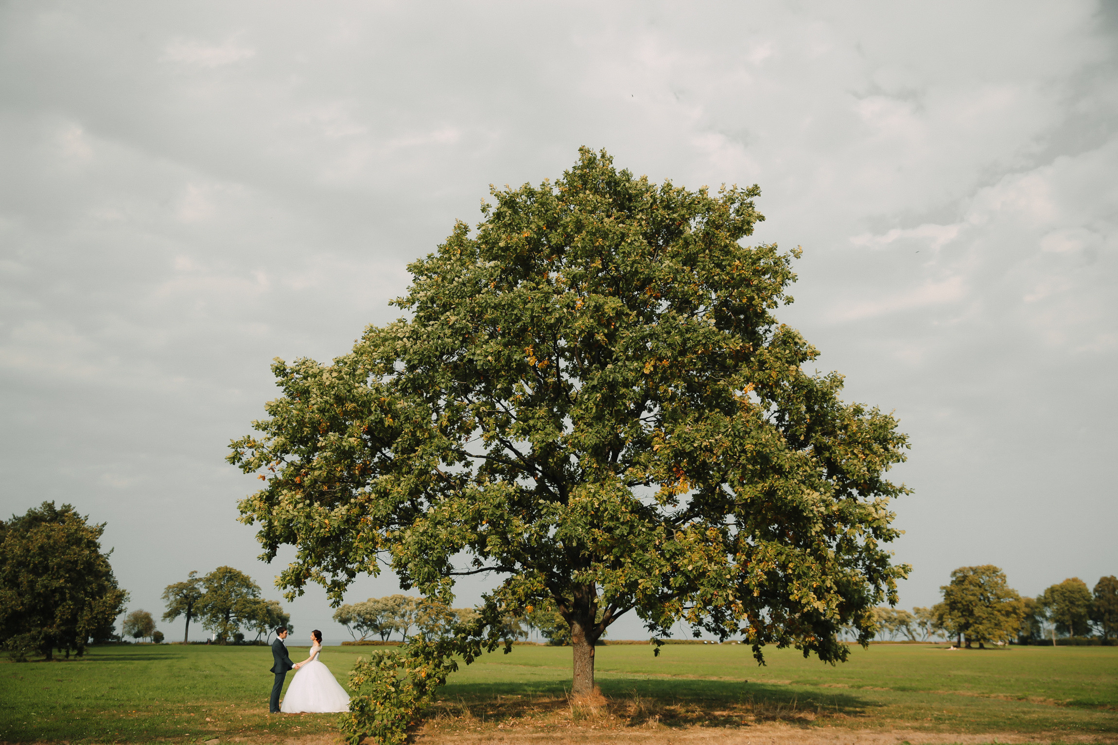 Weddings. Photographer Michael Alekseev