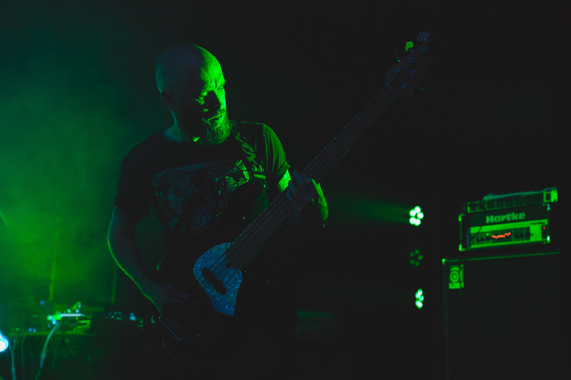 Concerts. Photographer Michael Alekseev