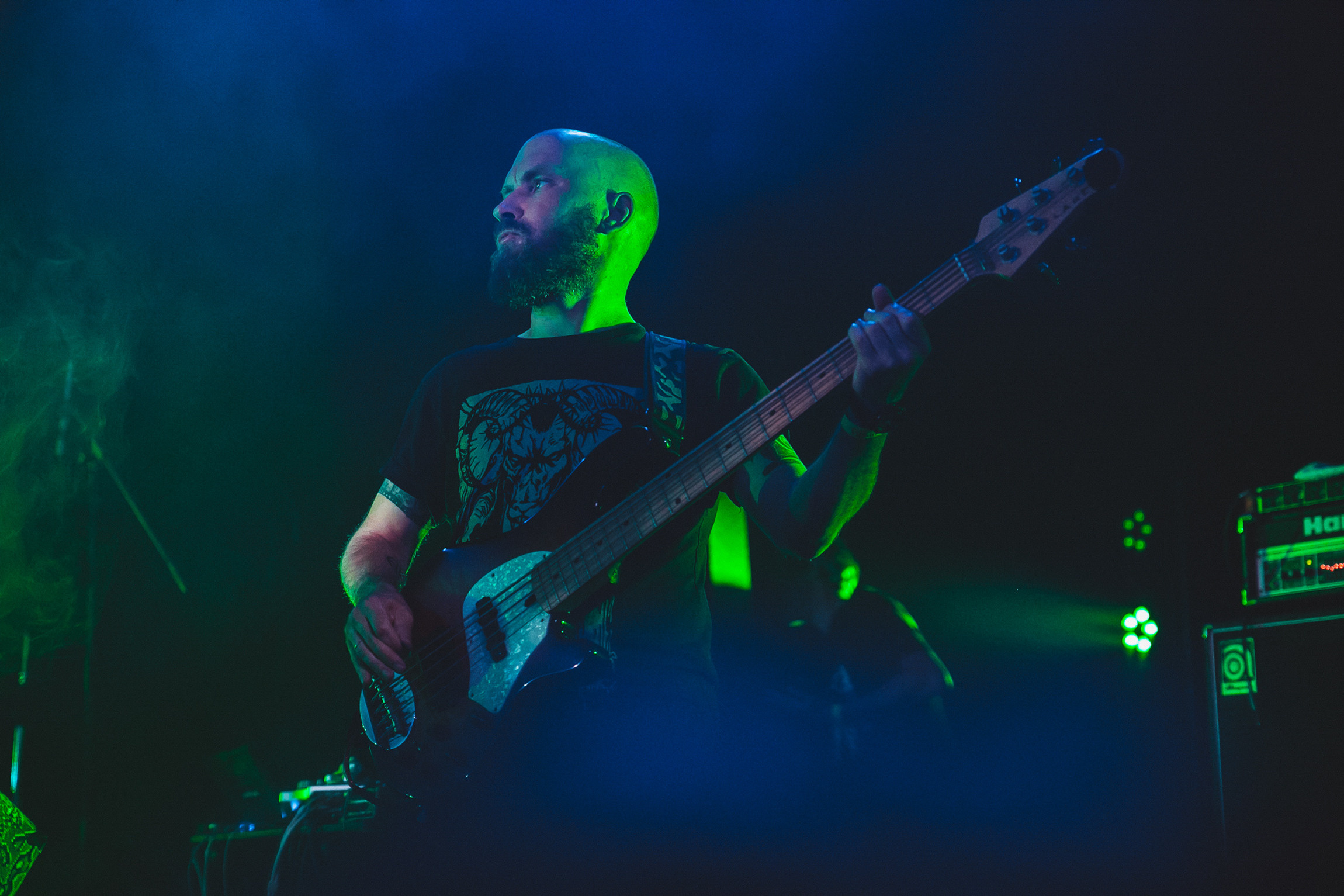 Concerts. Photographer Michael Alekseev