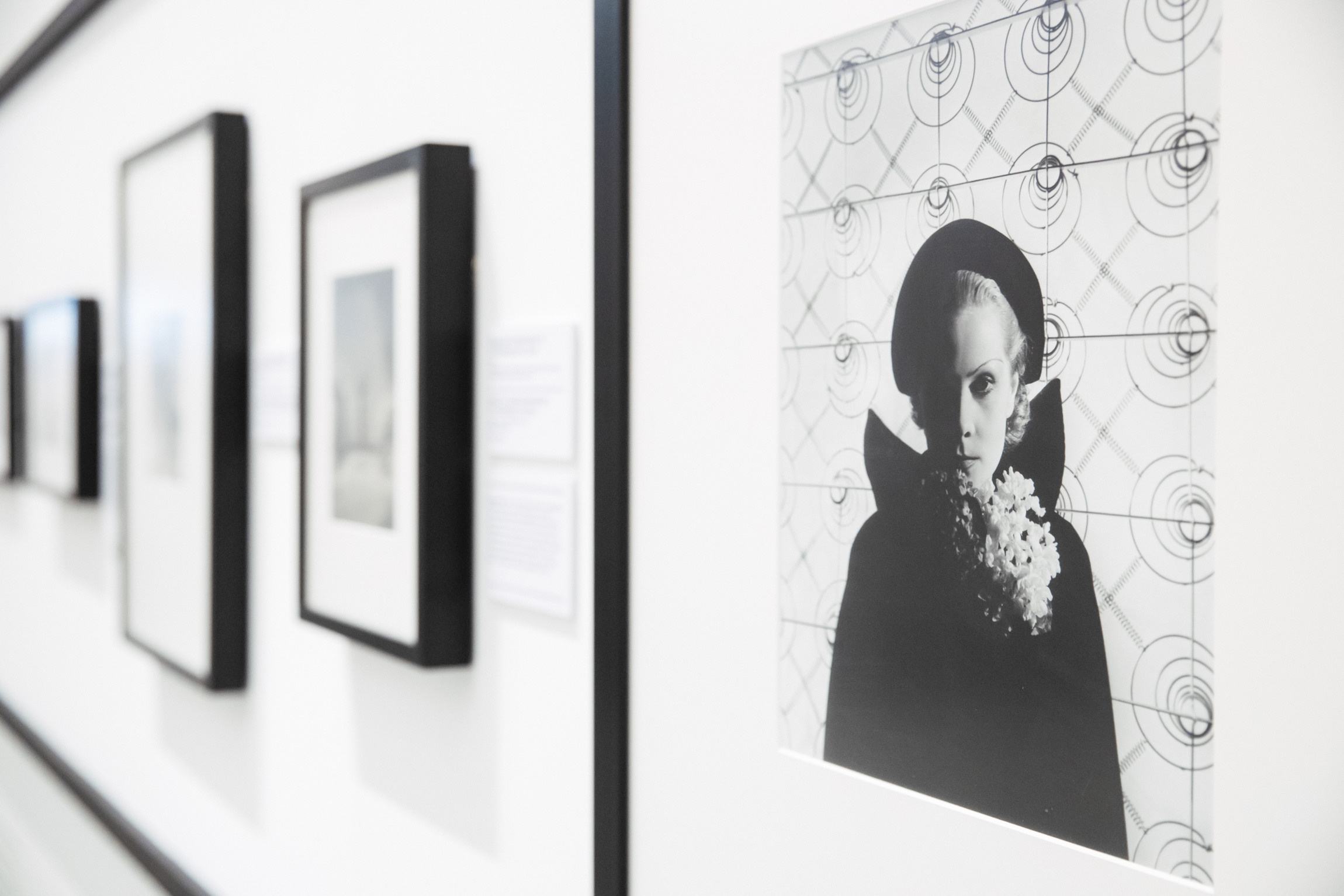 Events. Photographer Michael Alekseev