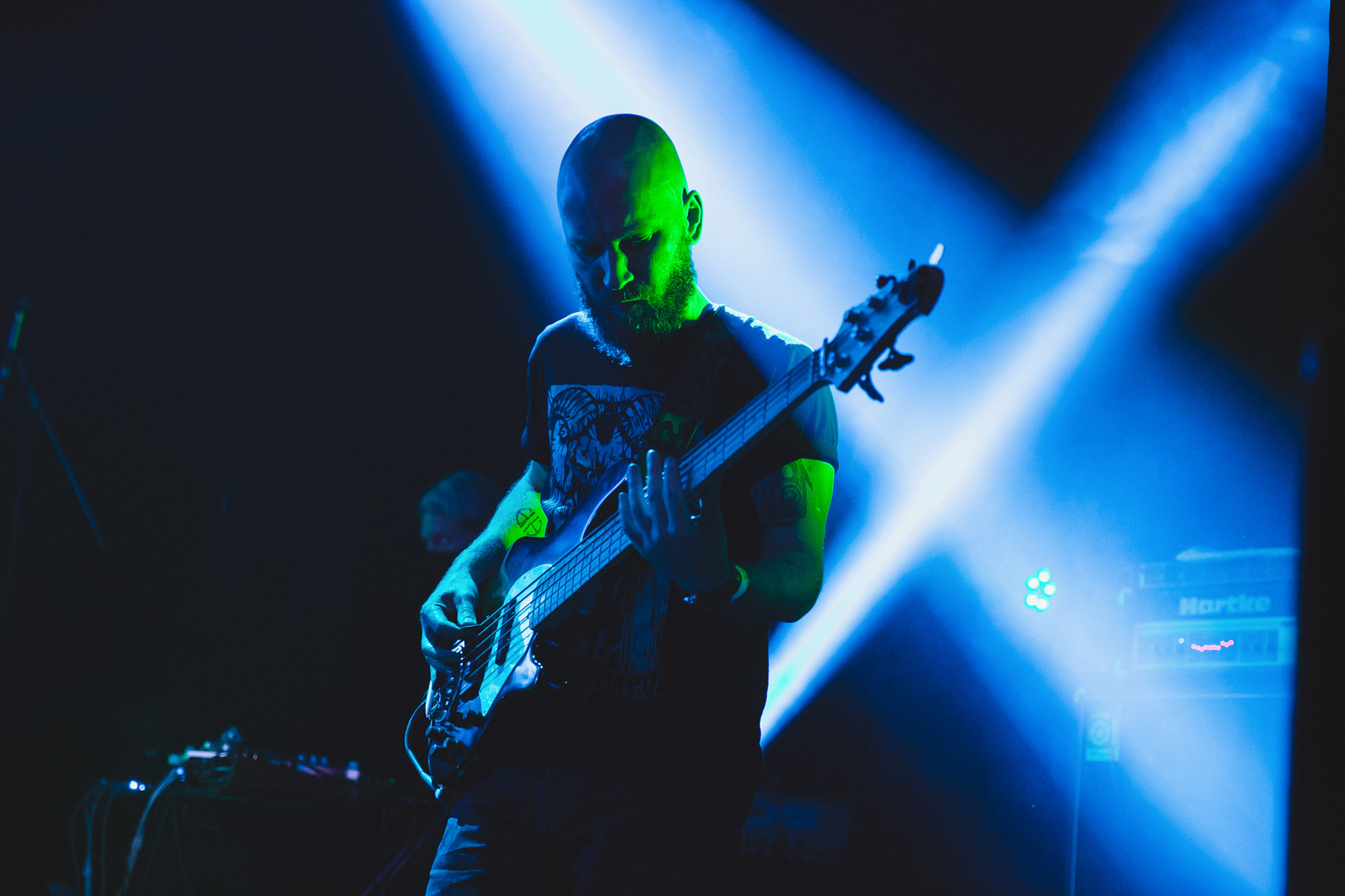 Concerts. Photographer Michael Alekseev