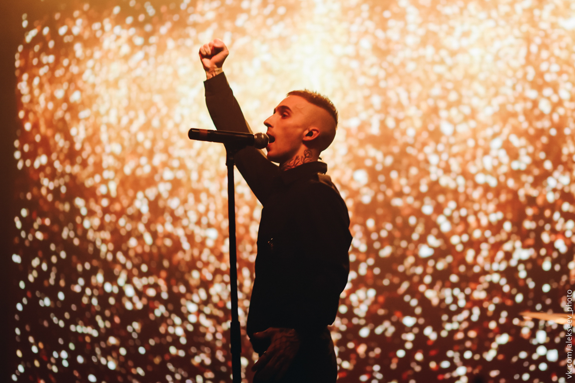 Concerts. Photographer Michael Alekseev