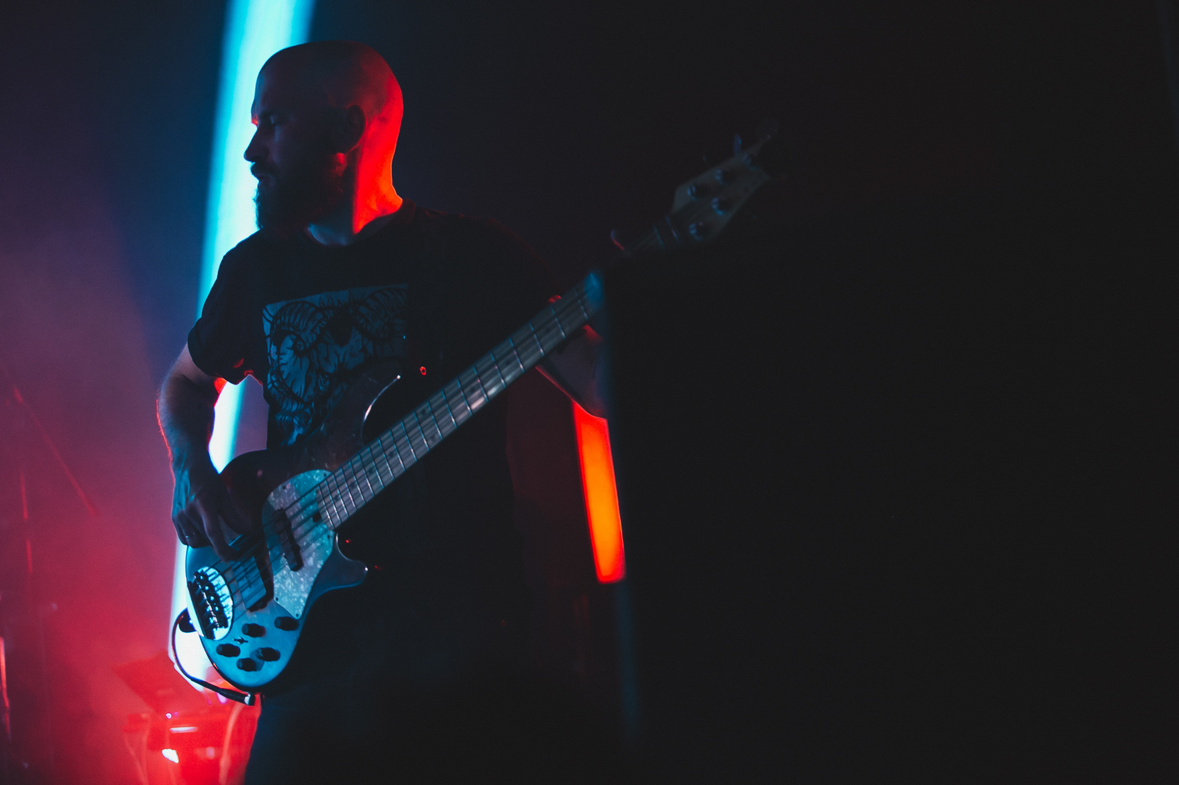 Concerts. Photographer Michael Alekseev