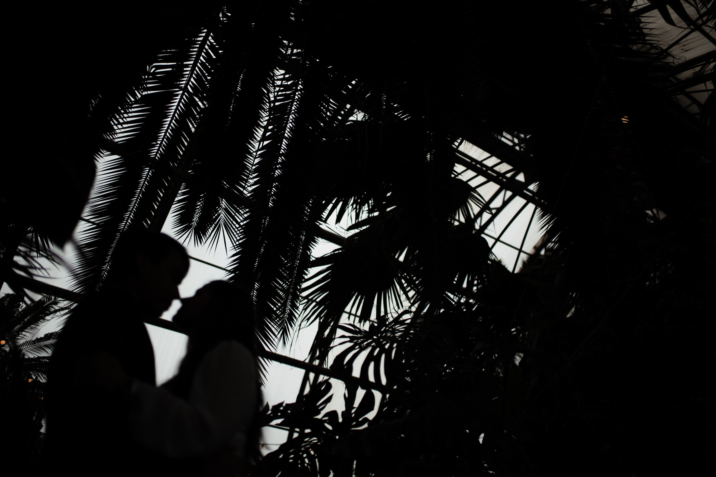 Weddings. Photographer Michael Alekseev