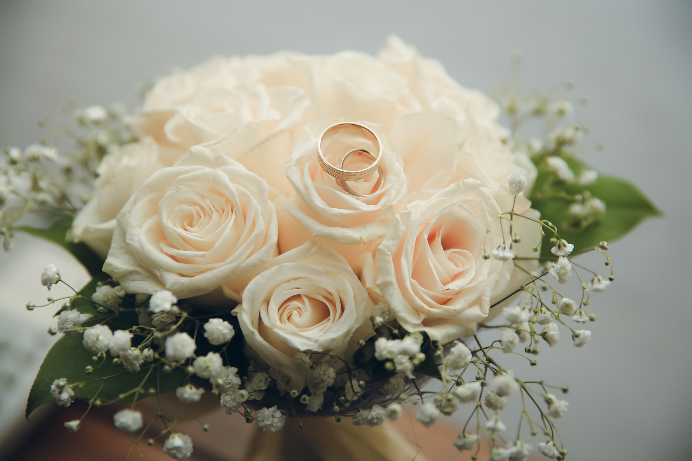 Weddings. Photographer Michael Alekseev