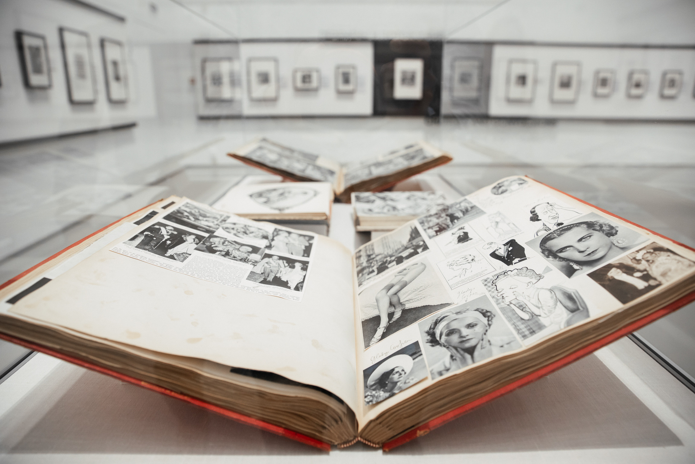 Events. Photographer Michael Alekseev