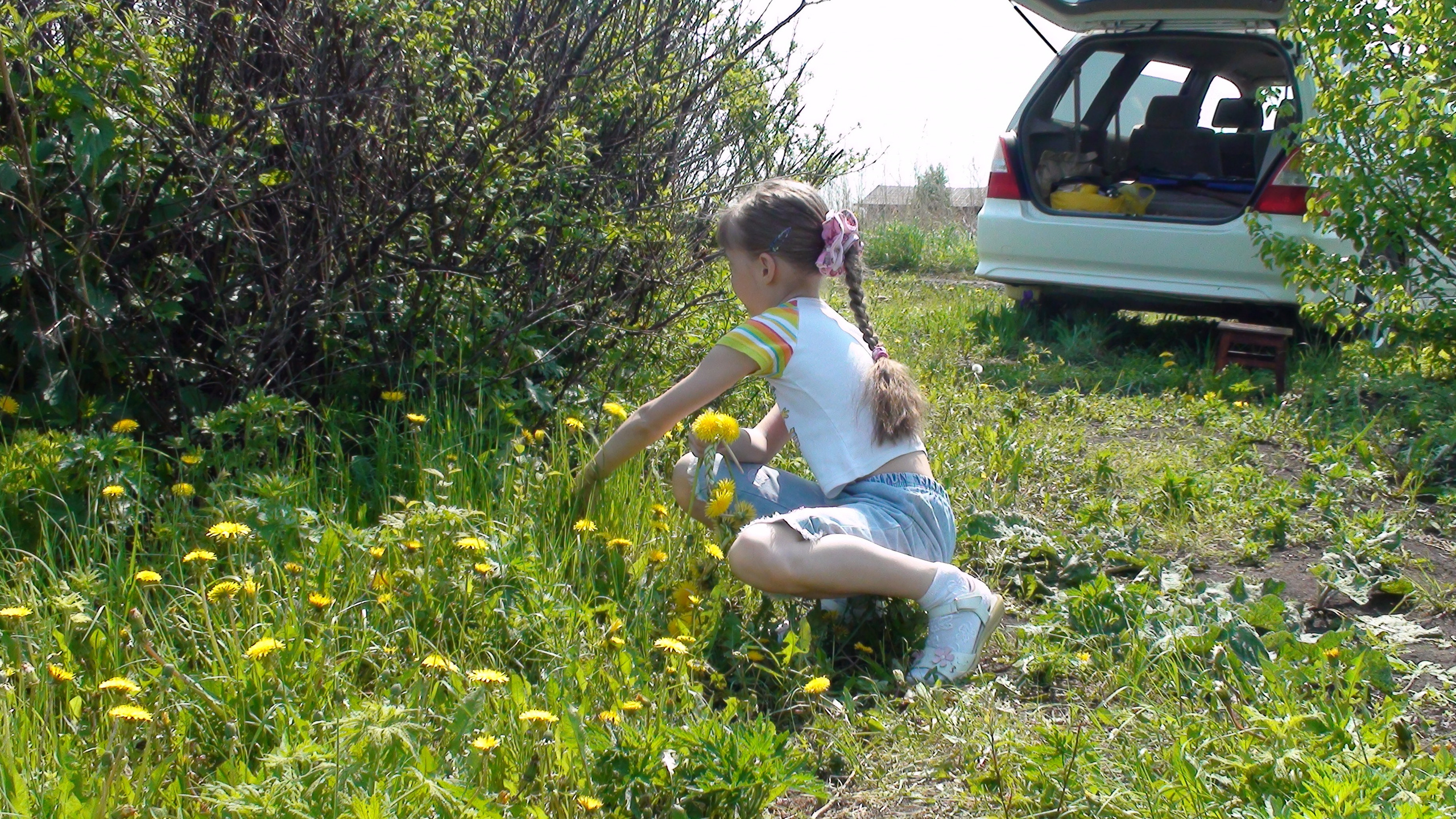 Дача 07.06.2009. Семейный, Свадебный фотограф СПБ Питер— Романова Екатерина