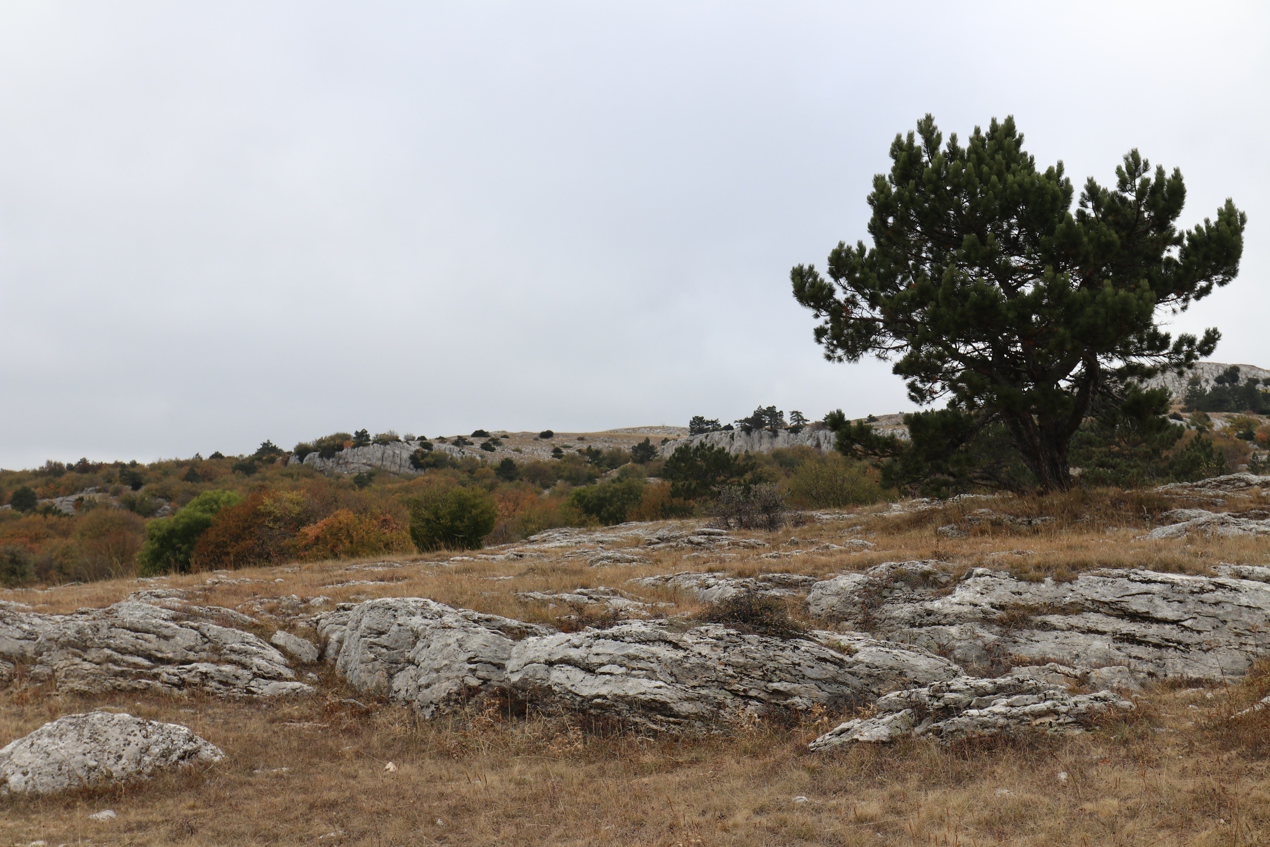 Крым. ЮБК (Фиолент, Ай-Петри, Роман-Кош). Знакомство. Октябрь 2017. Путешественник-фотограф из Санкт-Петербурга Татьяна Свистулина