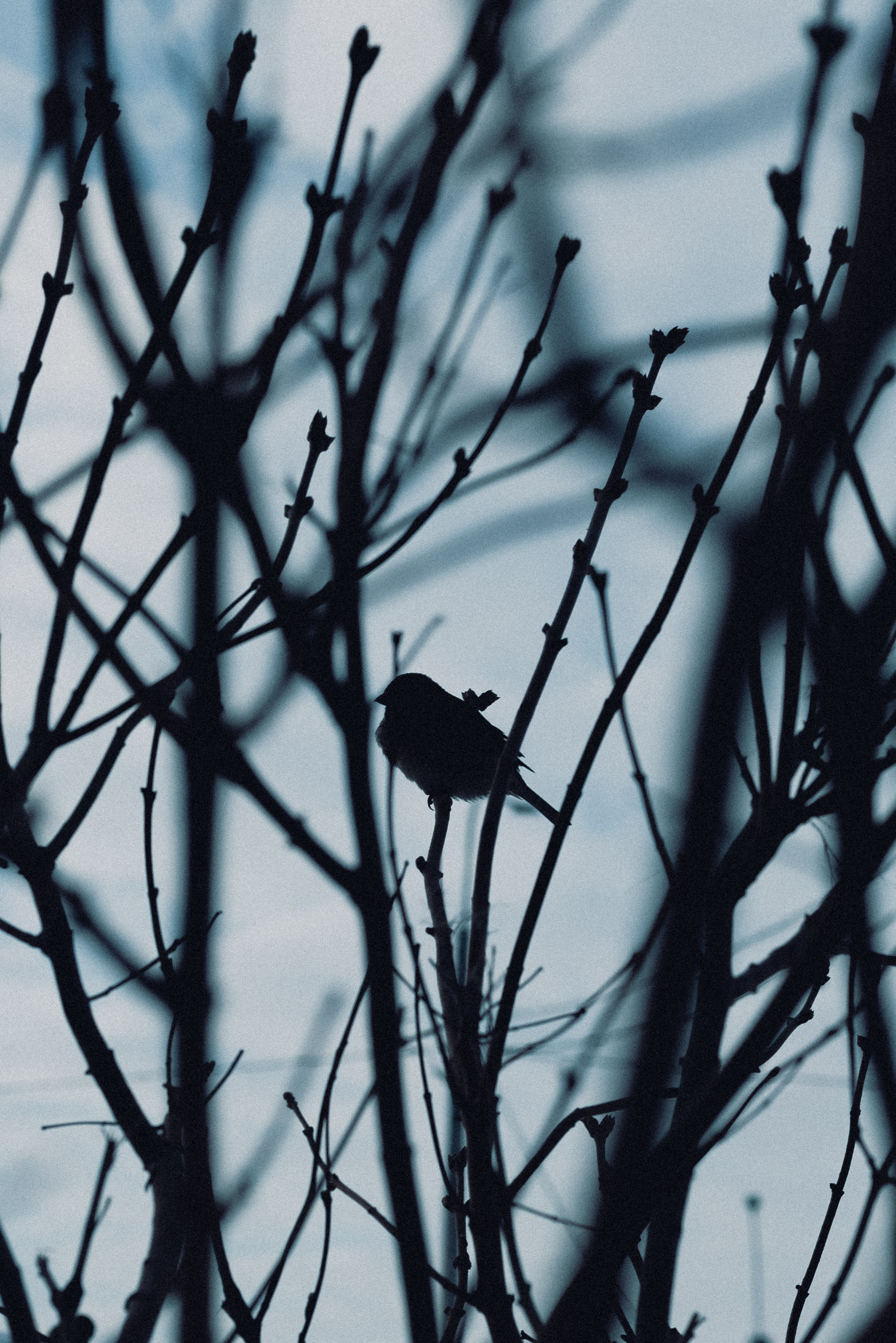 № 26. WAYHAY — Портретный фотограф