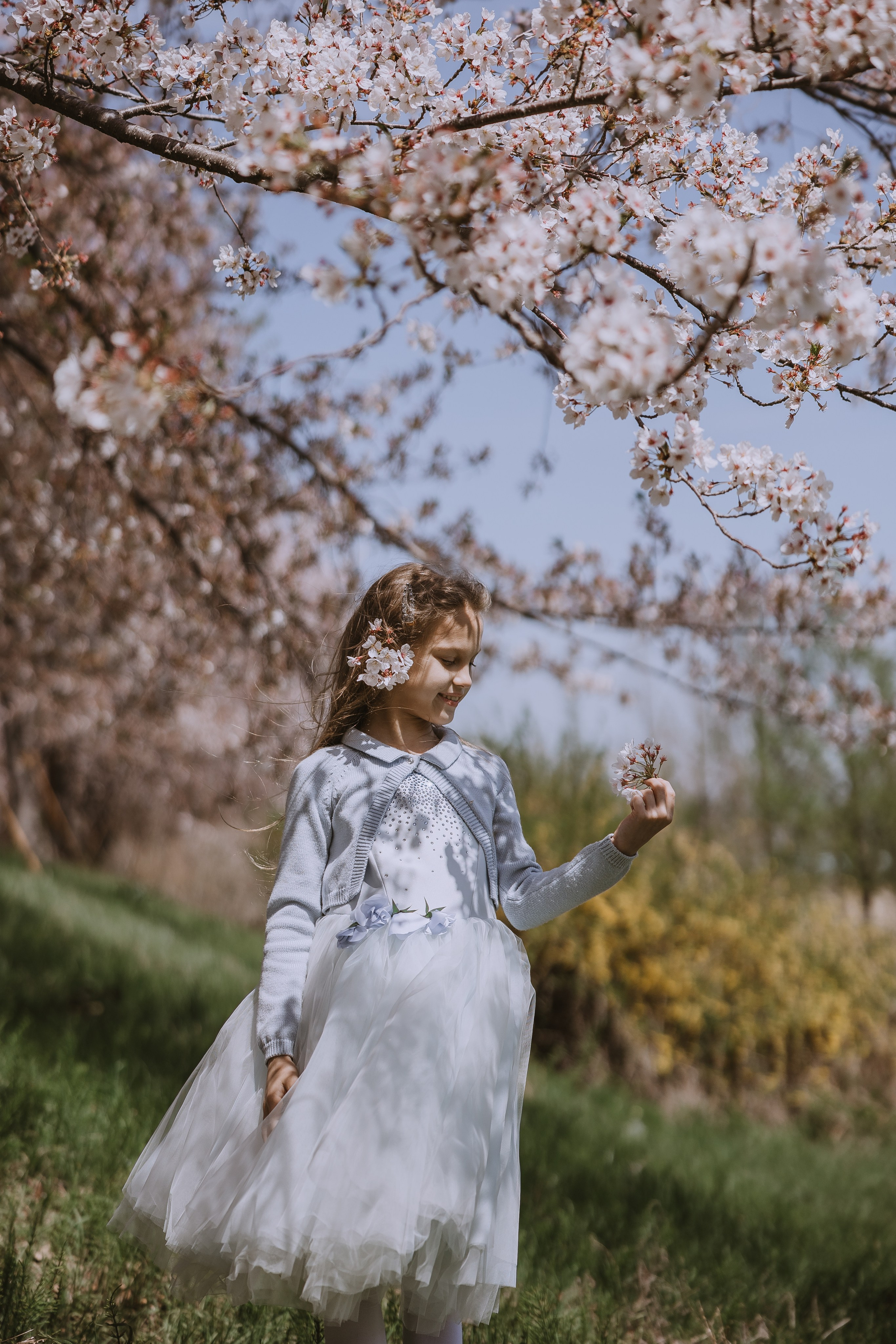 Beautiful girl at a photo shoot with sakura in Korea, Busan. Your photographer in Busan (South Korea) Aleksandra Anufriy