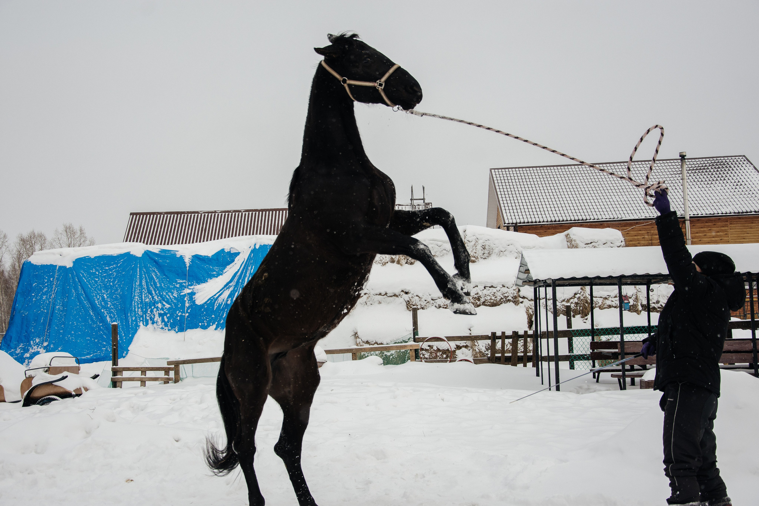 Детская прогулка. Фотограф на все случаи