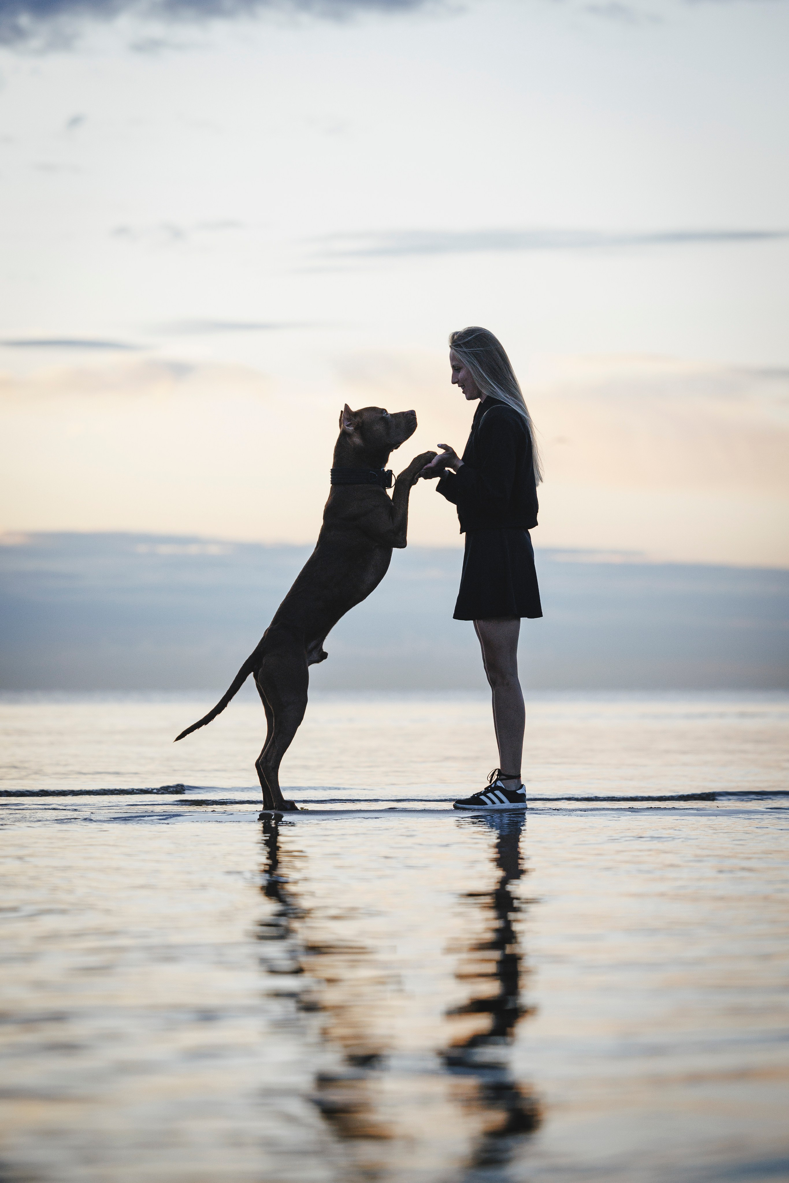 Яна и Энди. Фотограф-анималист Анна Маринич