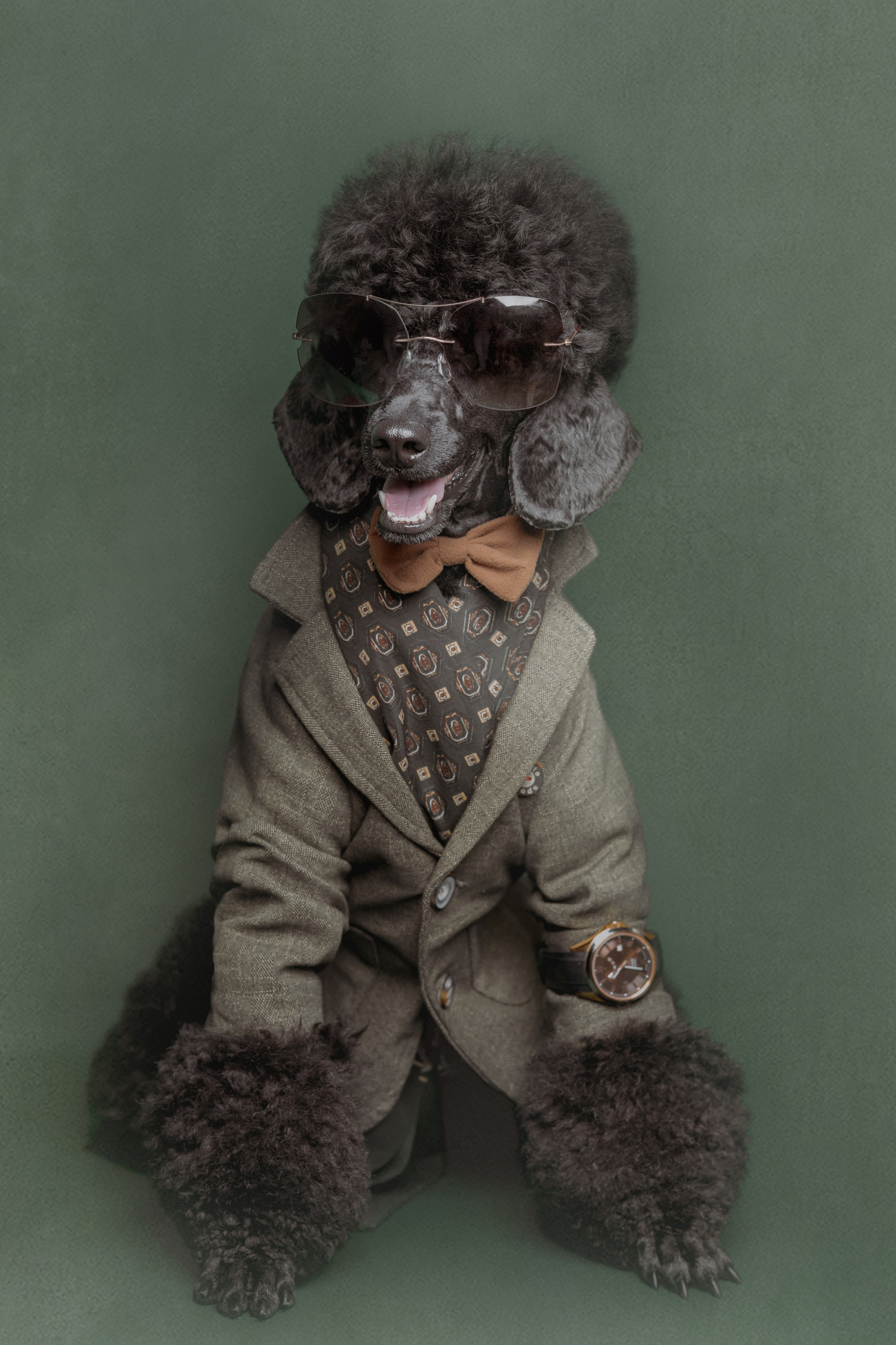 ФОТОСТУДИЯ