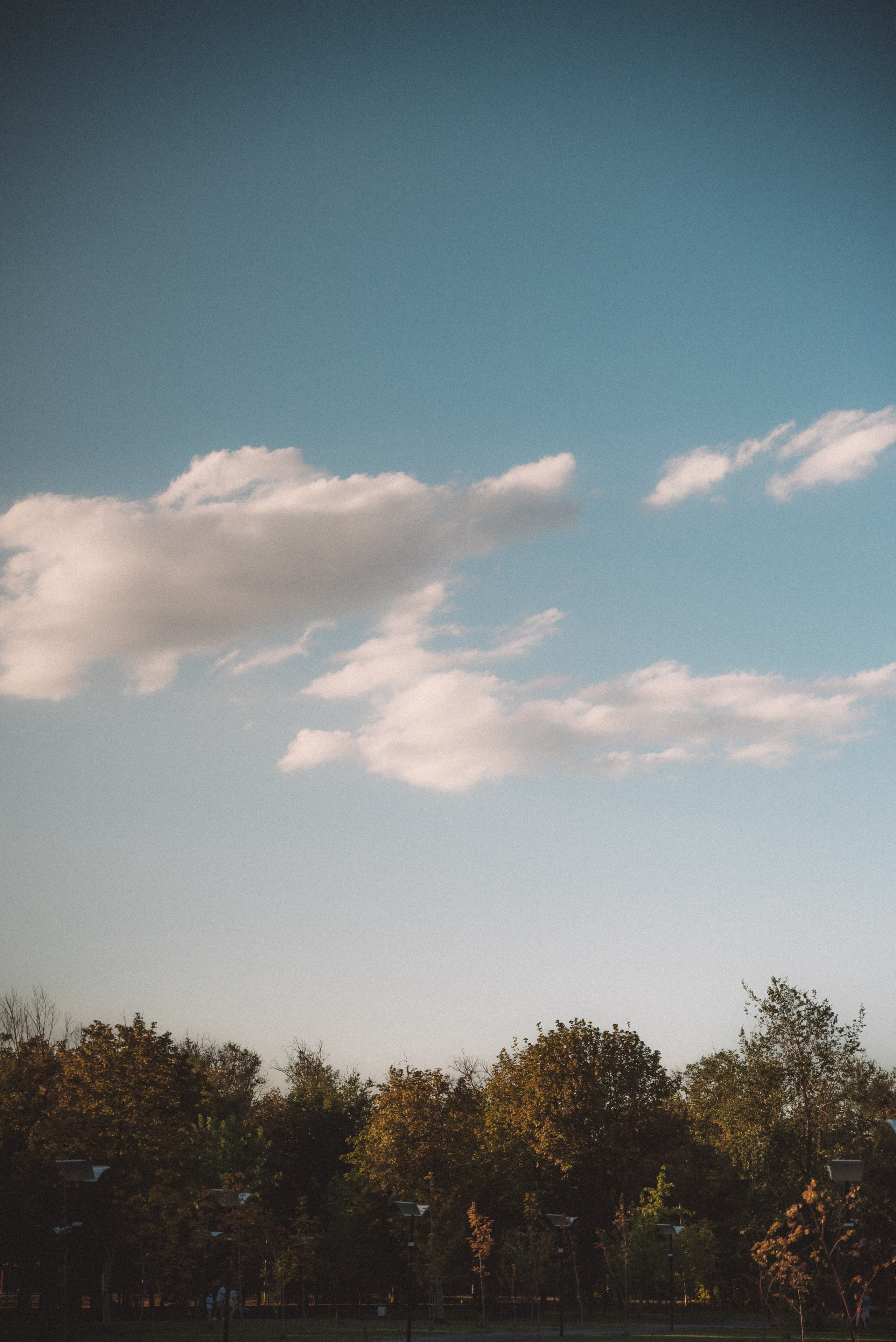 Семья Артёма и Александры. Фотограф Новочеркасск Ольга Мальцева