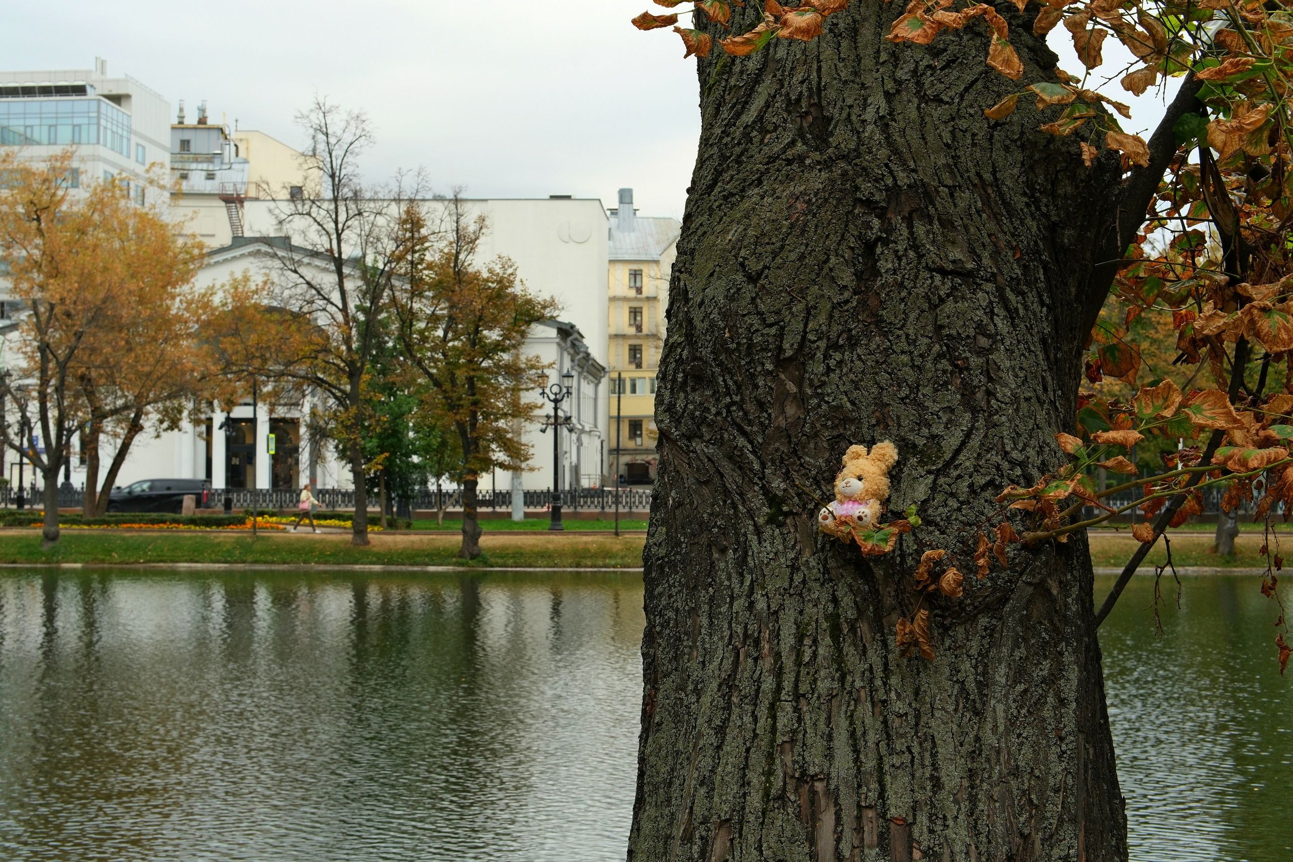 Сентябрь 2025. Улица, люди, жизнь…