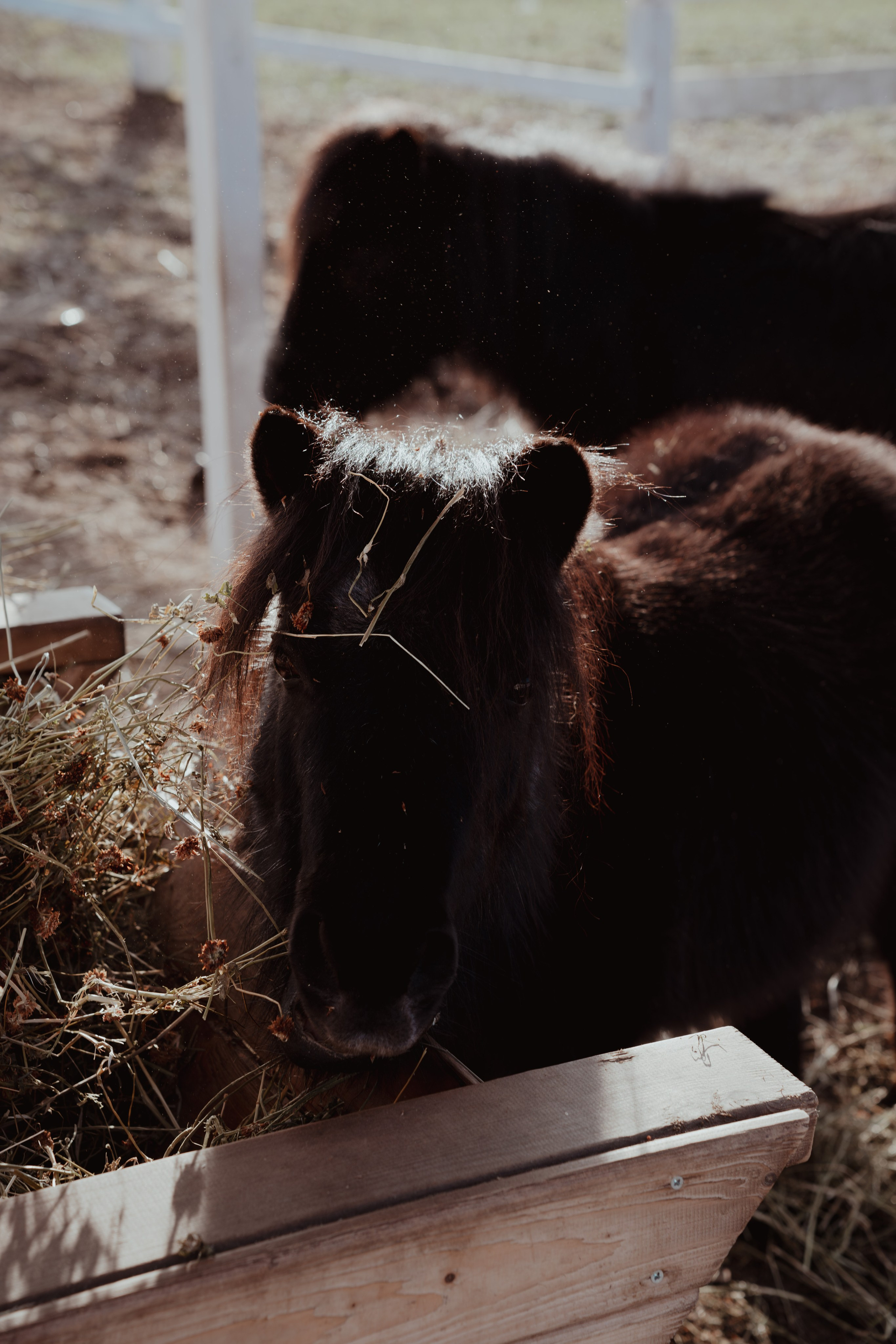 Кино. Концептуальный фотограф Шлыкова Ольга
