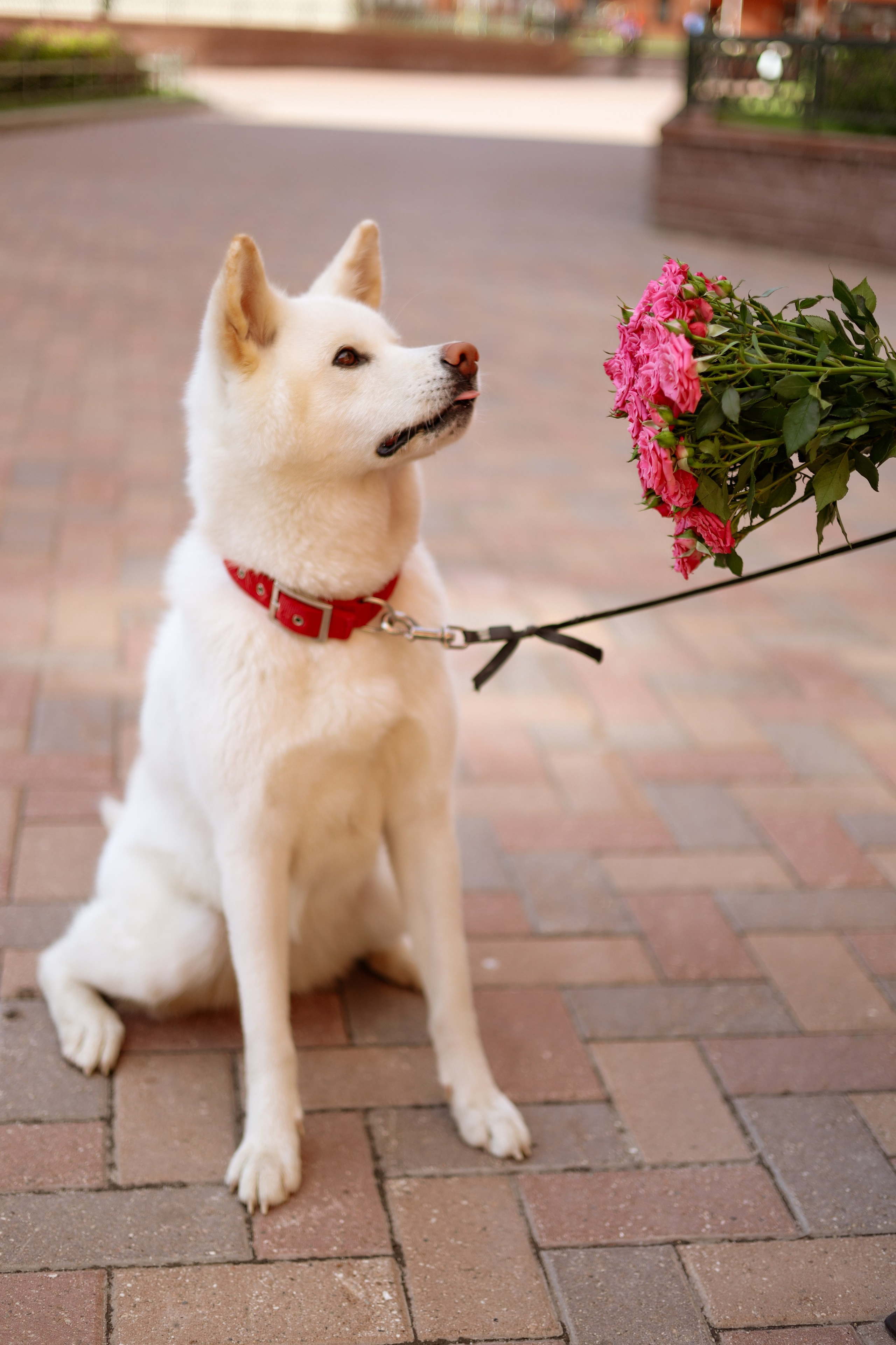 M&P. Photographer Tatiana Ivanova in Yaroslavl