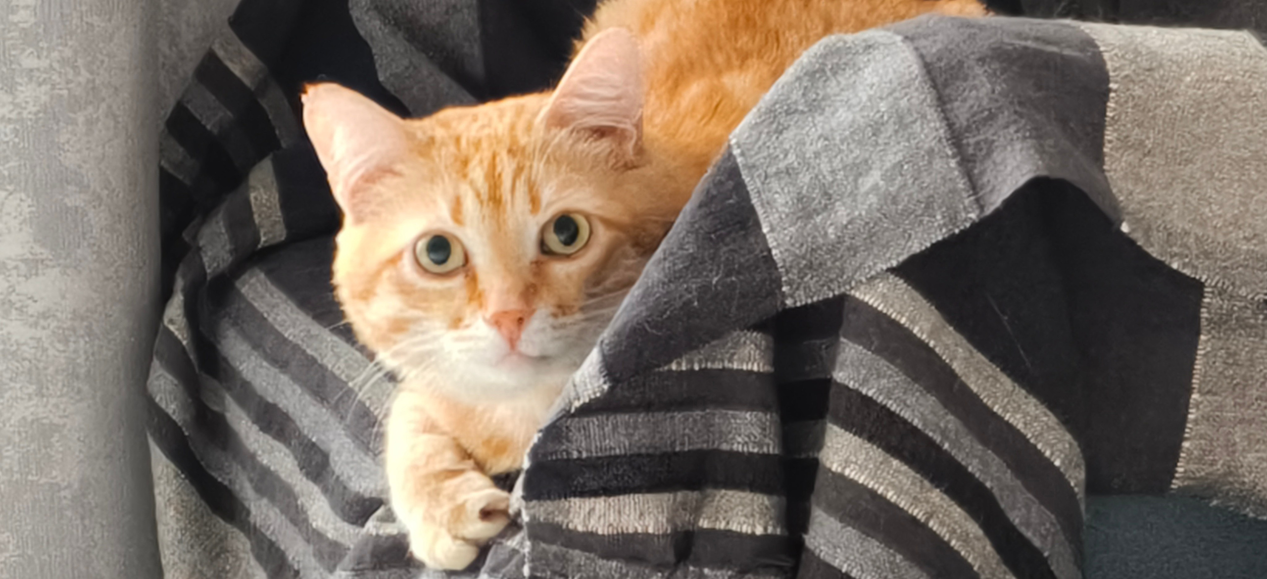 Рекламная съемка в Москве. Геннадий Степанов —фотограф в Москве