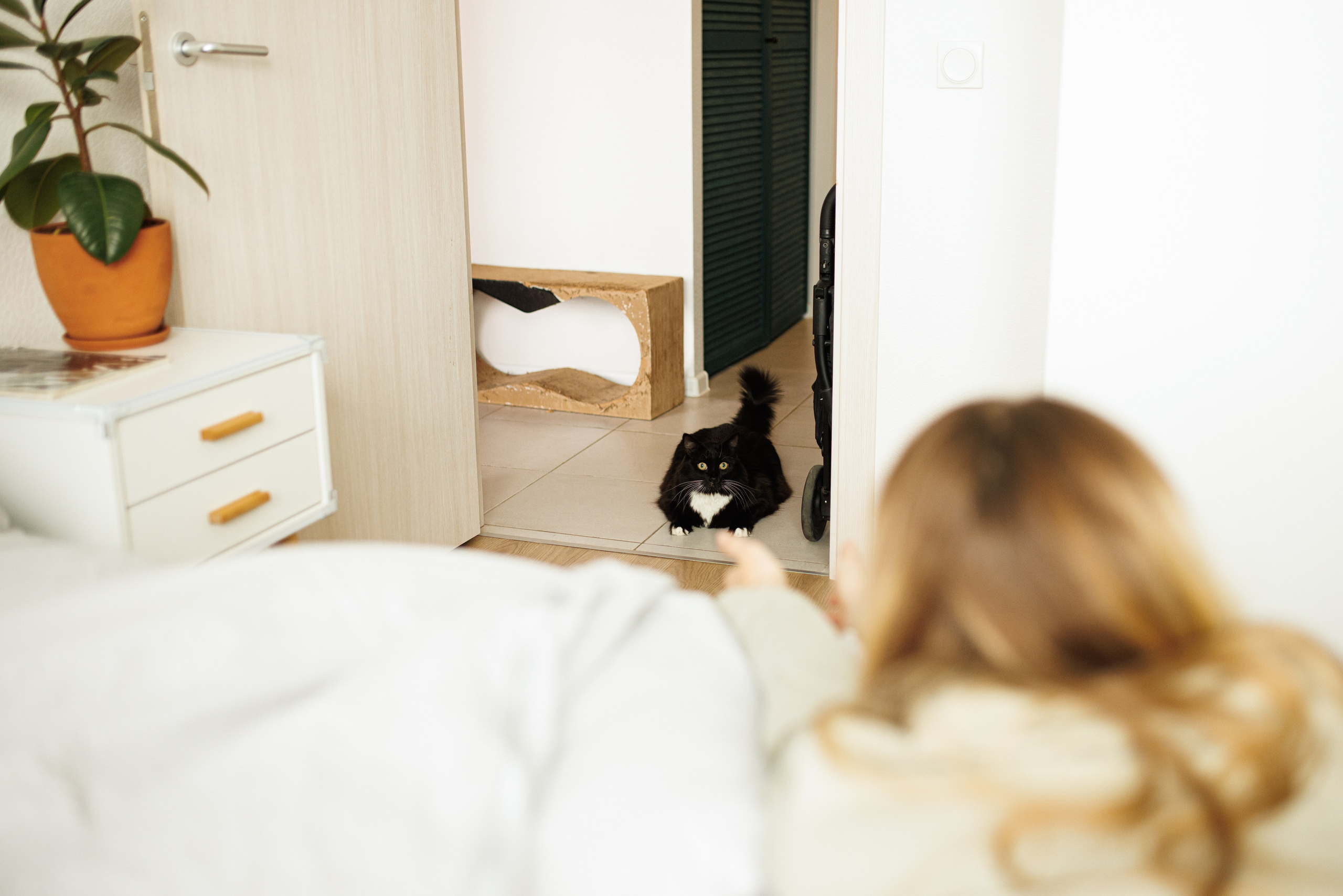 Предновогоднее настроение. Свадебный и семейный фотограф в Москве Julia Juice