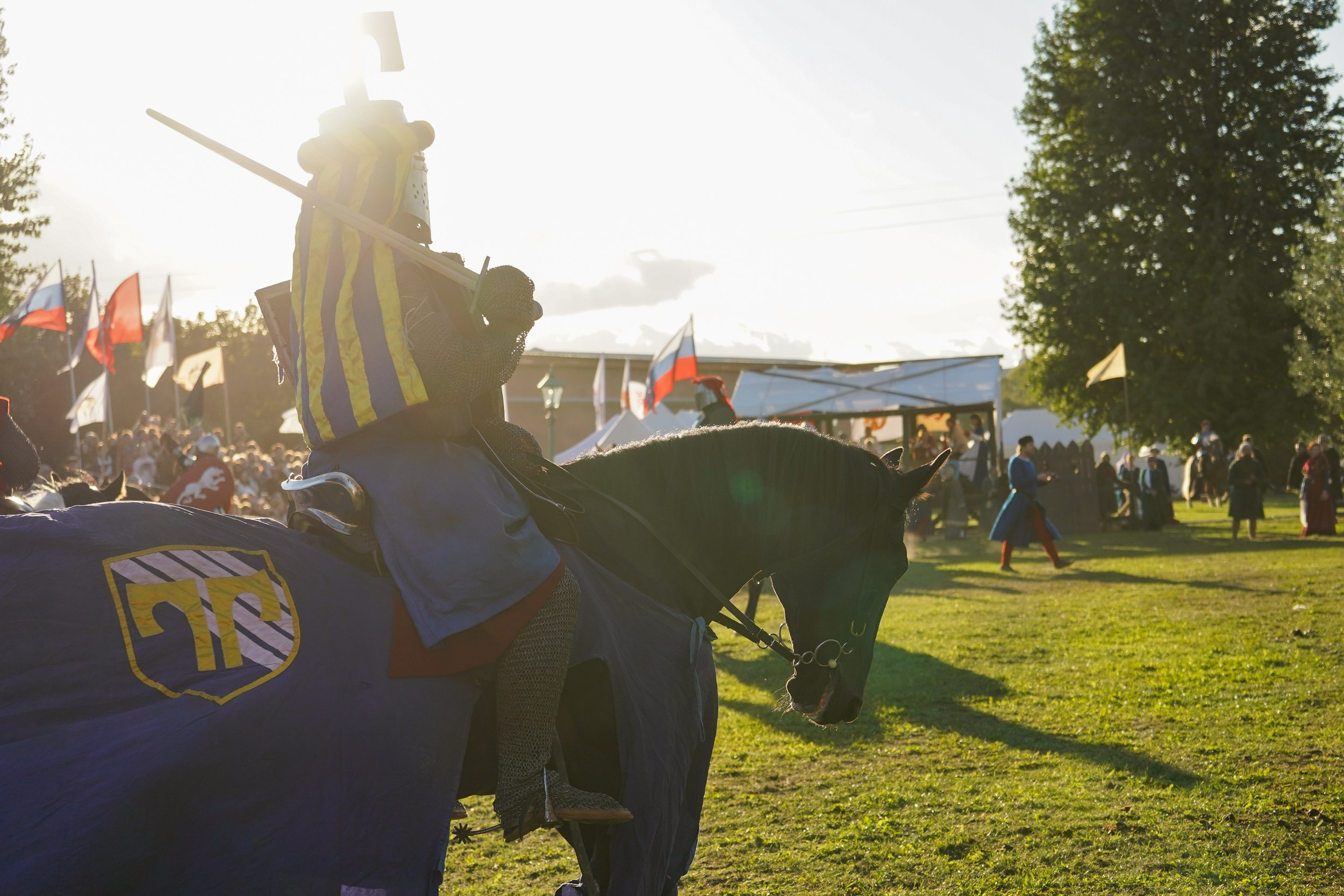Рыцарский турнир в рамках фестиваля «Битва на Неве» Санкт-Петербург 2024 г. Фотограф-анималист, портретный фотограф в Чебоксарах Мария Садыкова