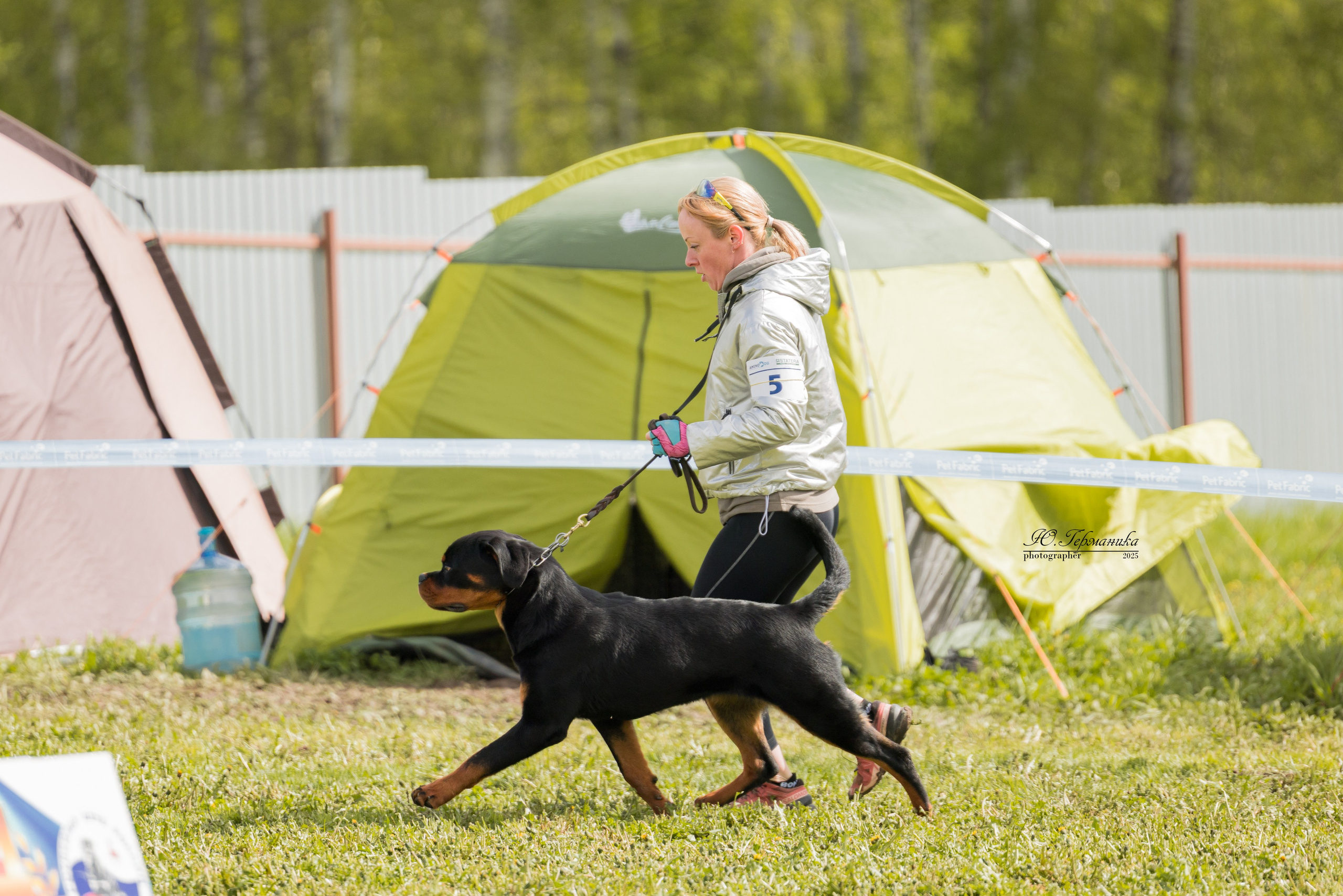 Нижний Новгород 2хмоно ротвейлеров 10-11.05.2025. Фотограф-анималист Юлия Германика