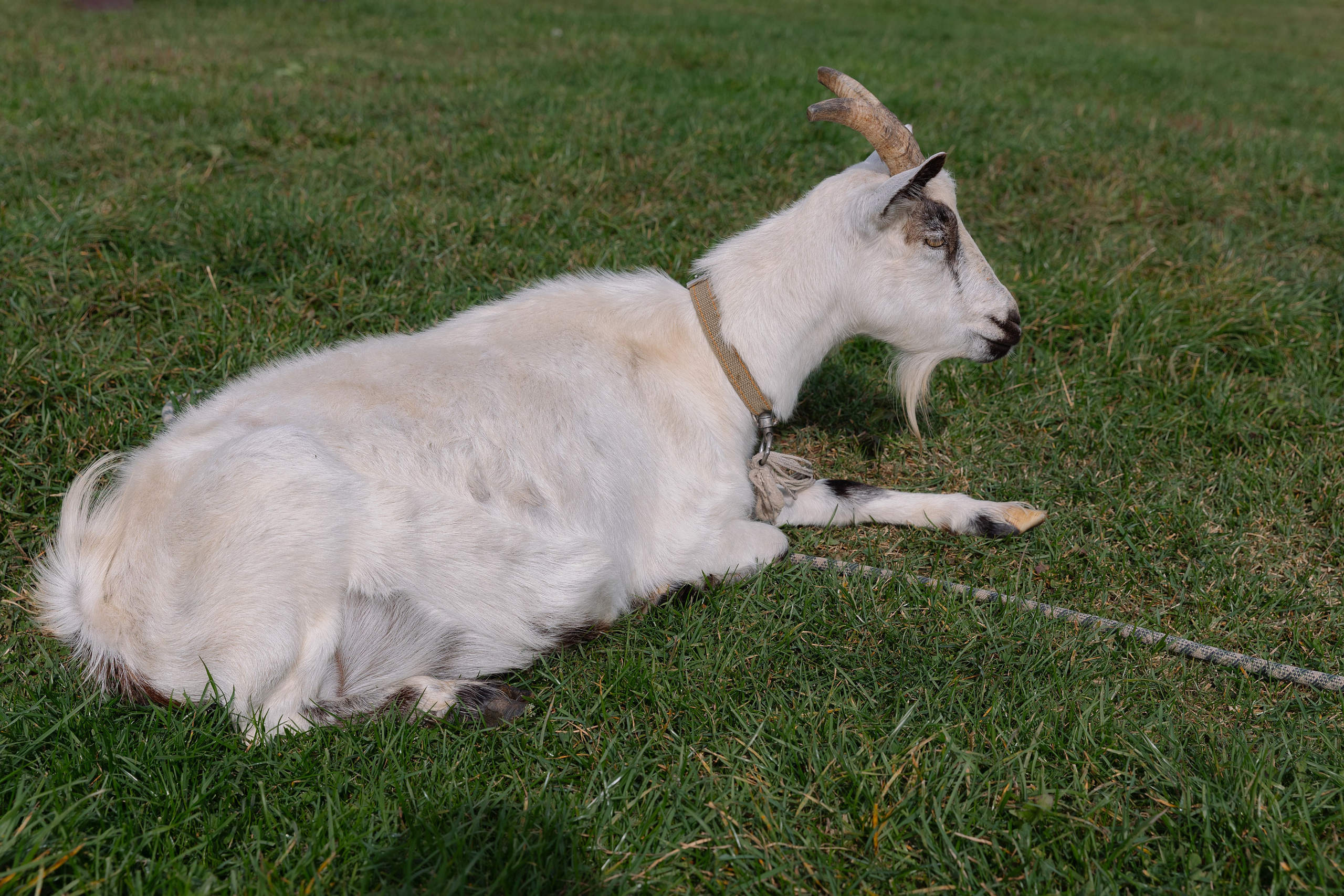 Корпоративная фотосъемка для ОАО Белагропромбанк в Суле в Загородном комплексе Westa. Свадебный фотограф в Минске/Беларуси Сергей Спиридонов