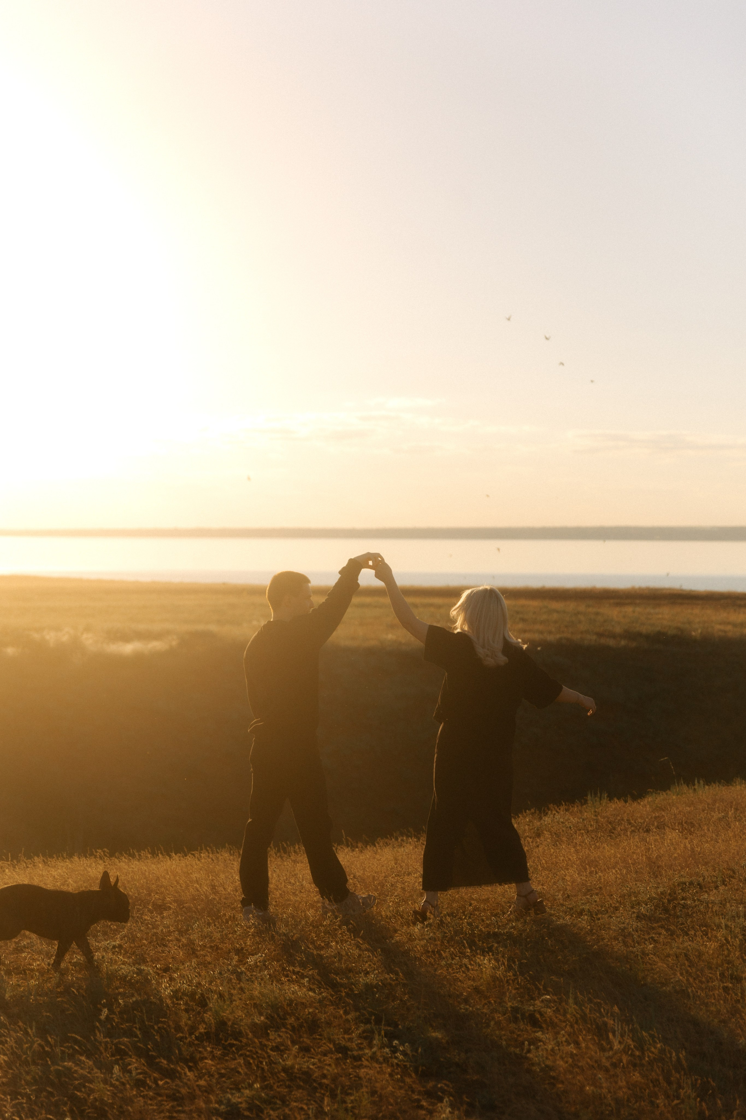 Ласточки. Свадебный и семейный фотограф Юлия Сафронова