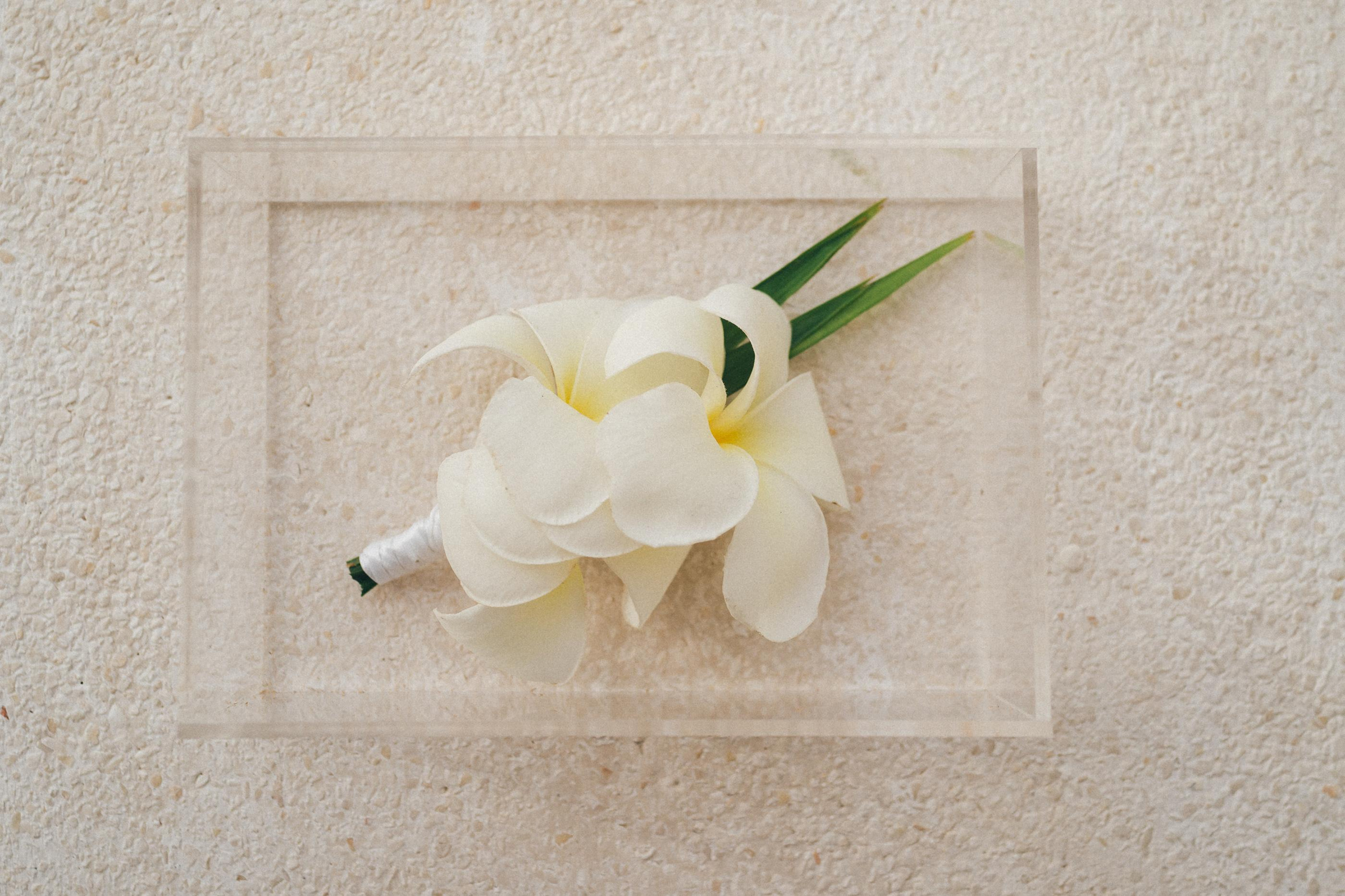 Mary and Oleg. Wedding photographer in Bali