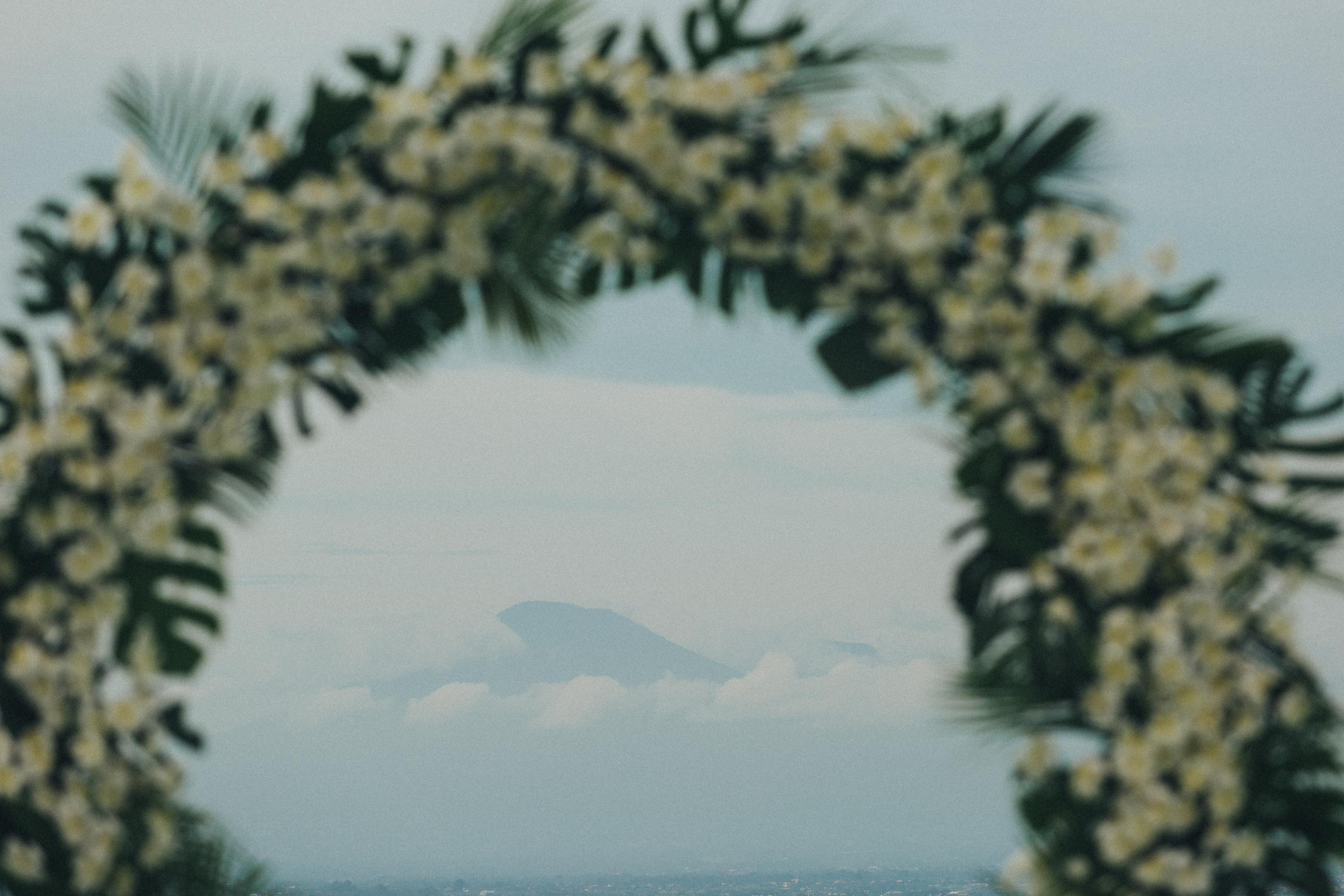 Mary and Oleg. Wedding photographer in Bali