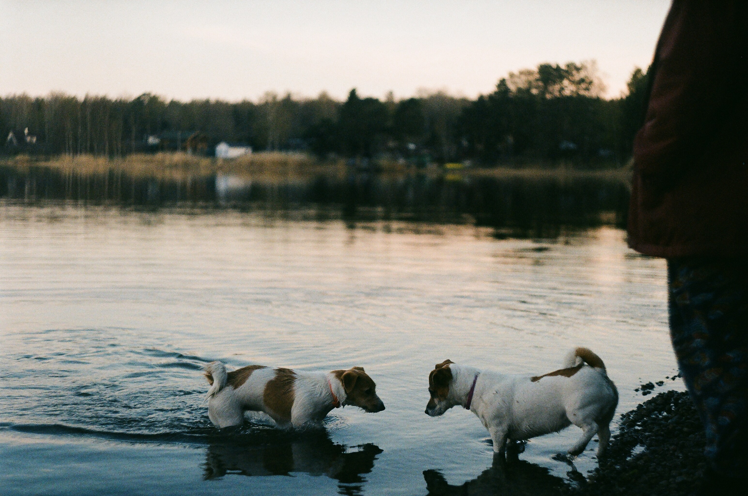 Фотограф YODLUCE